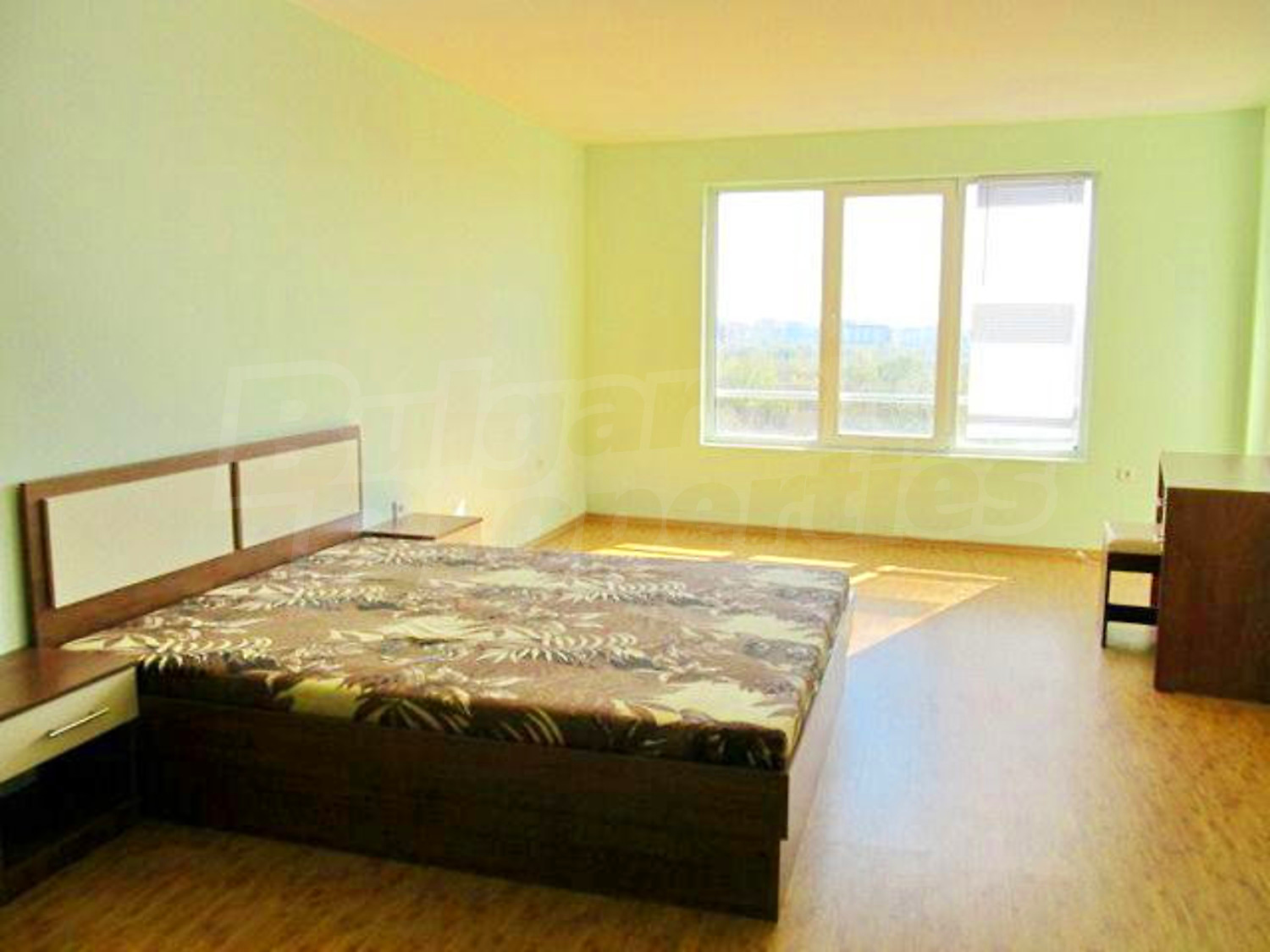 Gallery Picture 43