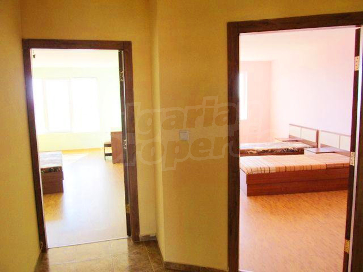 Gallery Picture 46