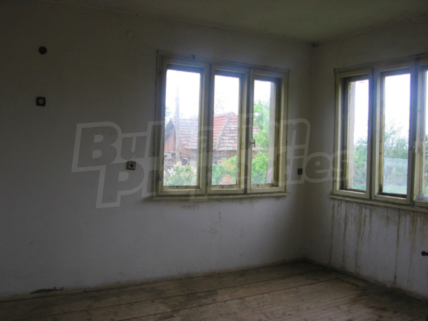 Gallery Picture 10