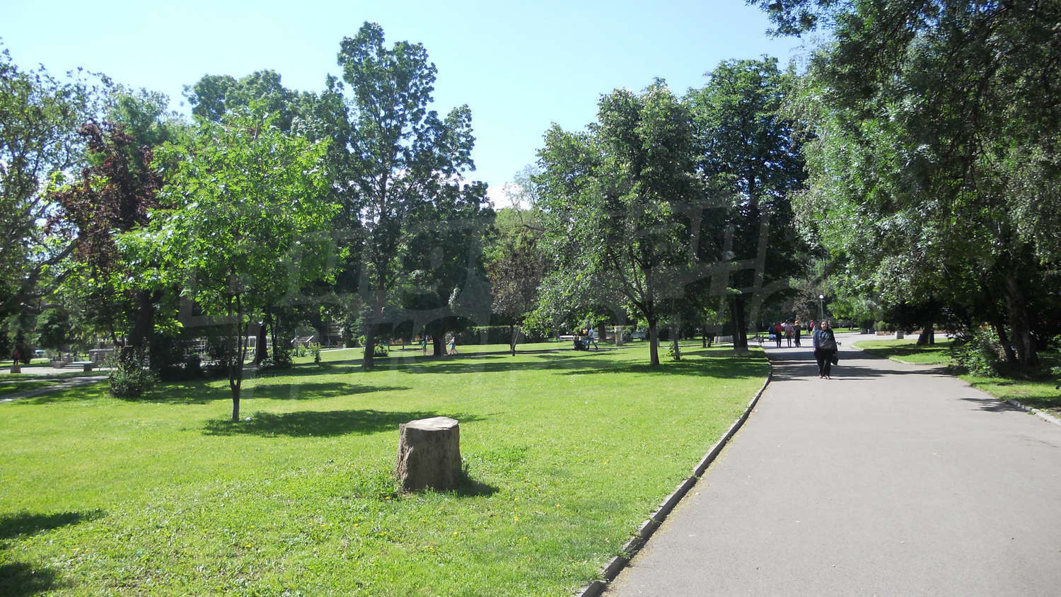 Gallery Picture 10