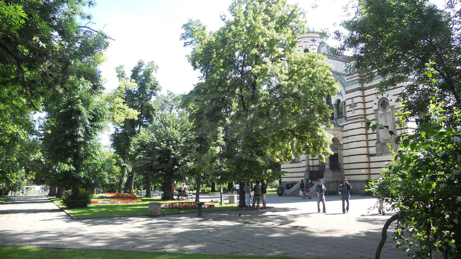 Gallery Picture 14