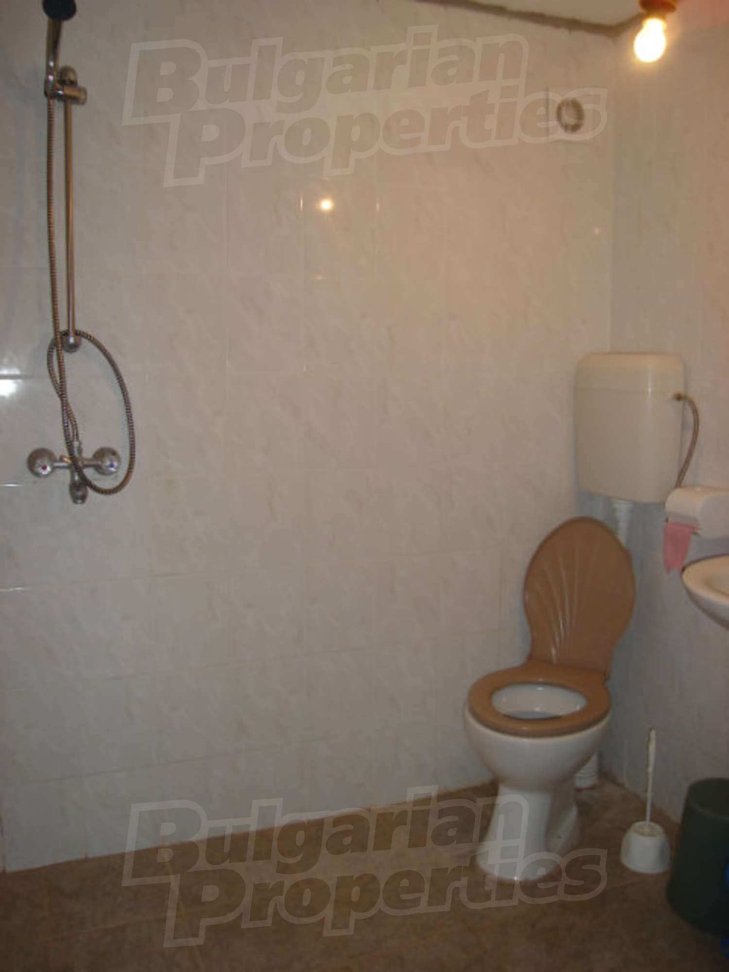 Gallery Picture 8