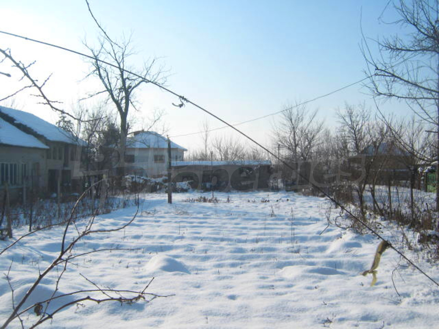 Gallery Picture 13