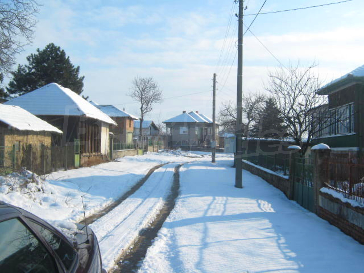 Gallery Picture 16