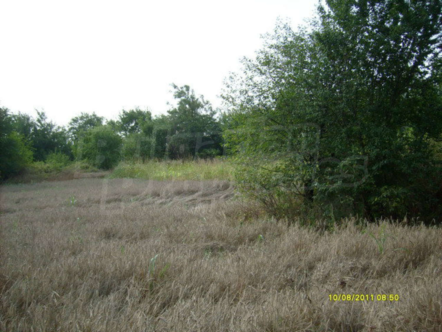 Gallery Picture 10