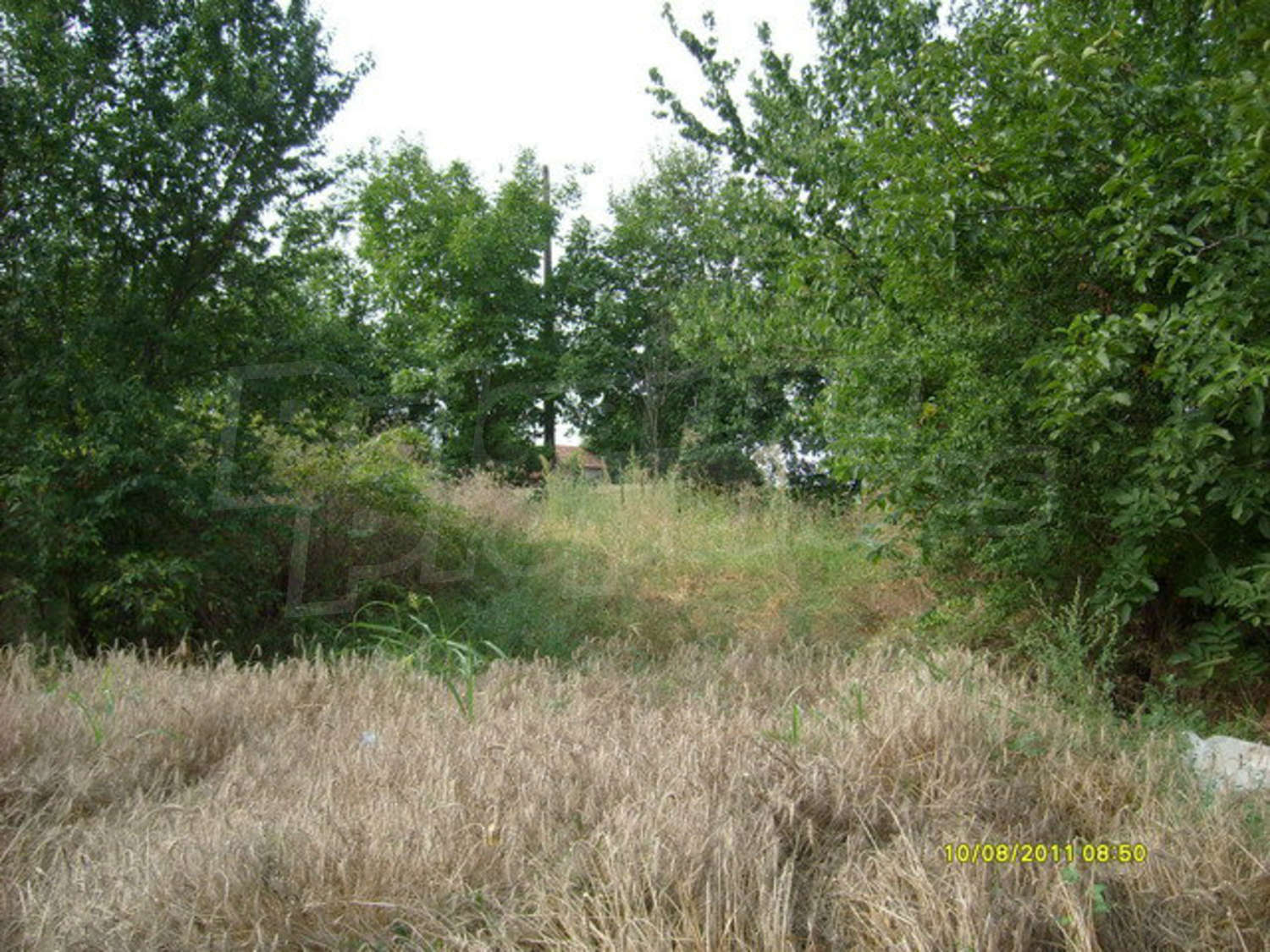Gallery Picture 11
