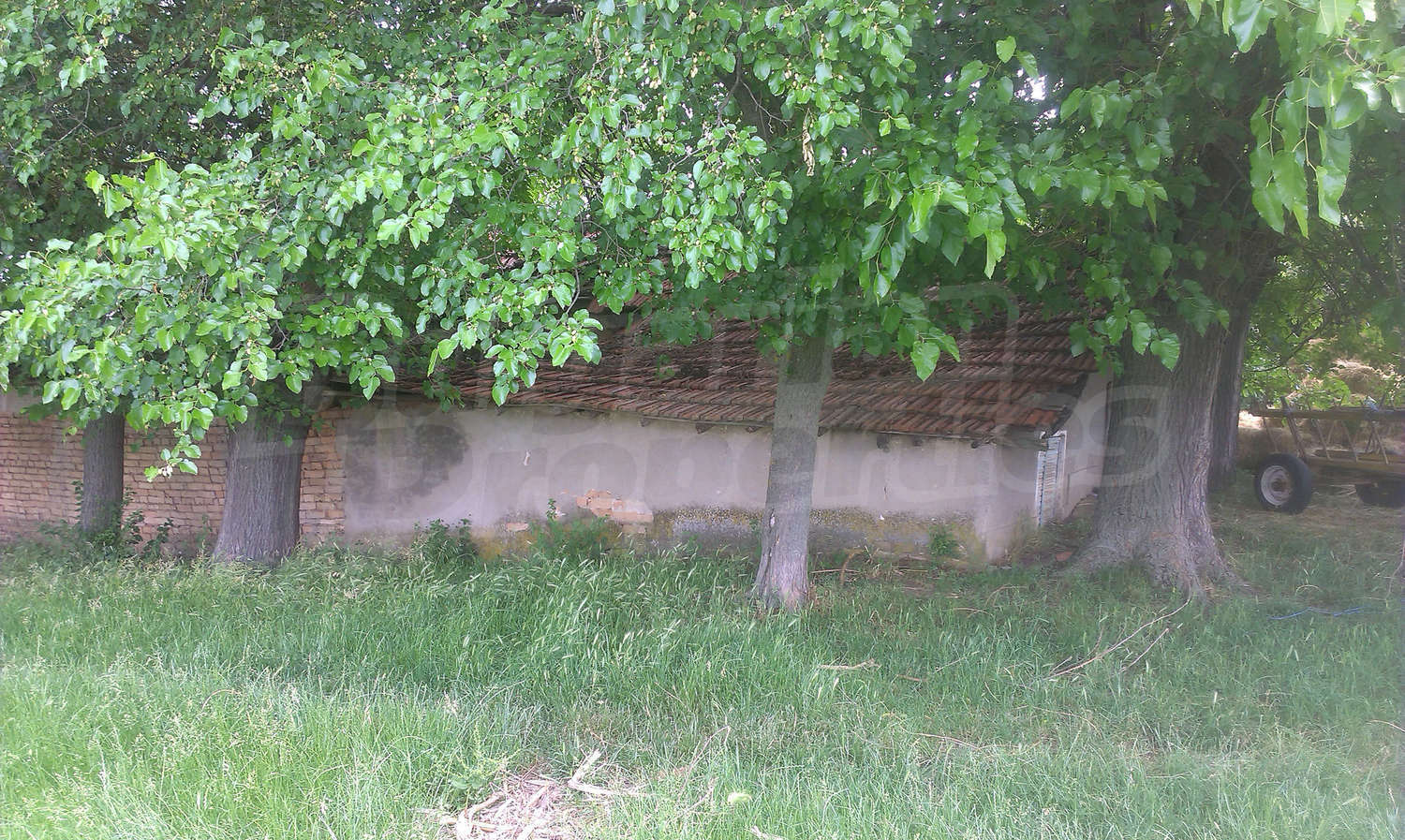 Gallery Picture 14