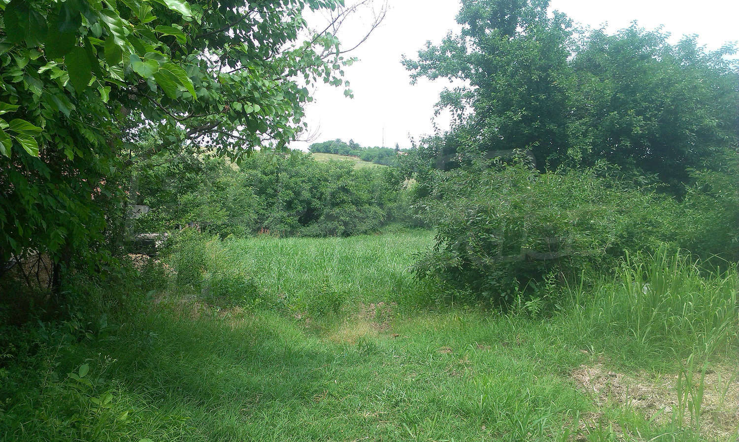 Gallery Picture 23