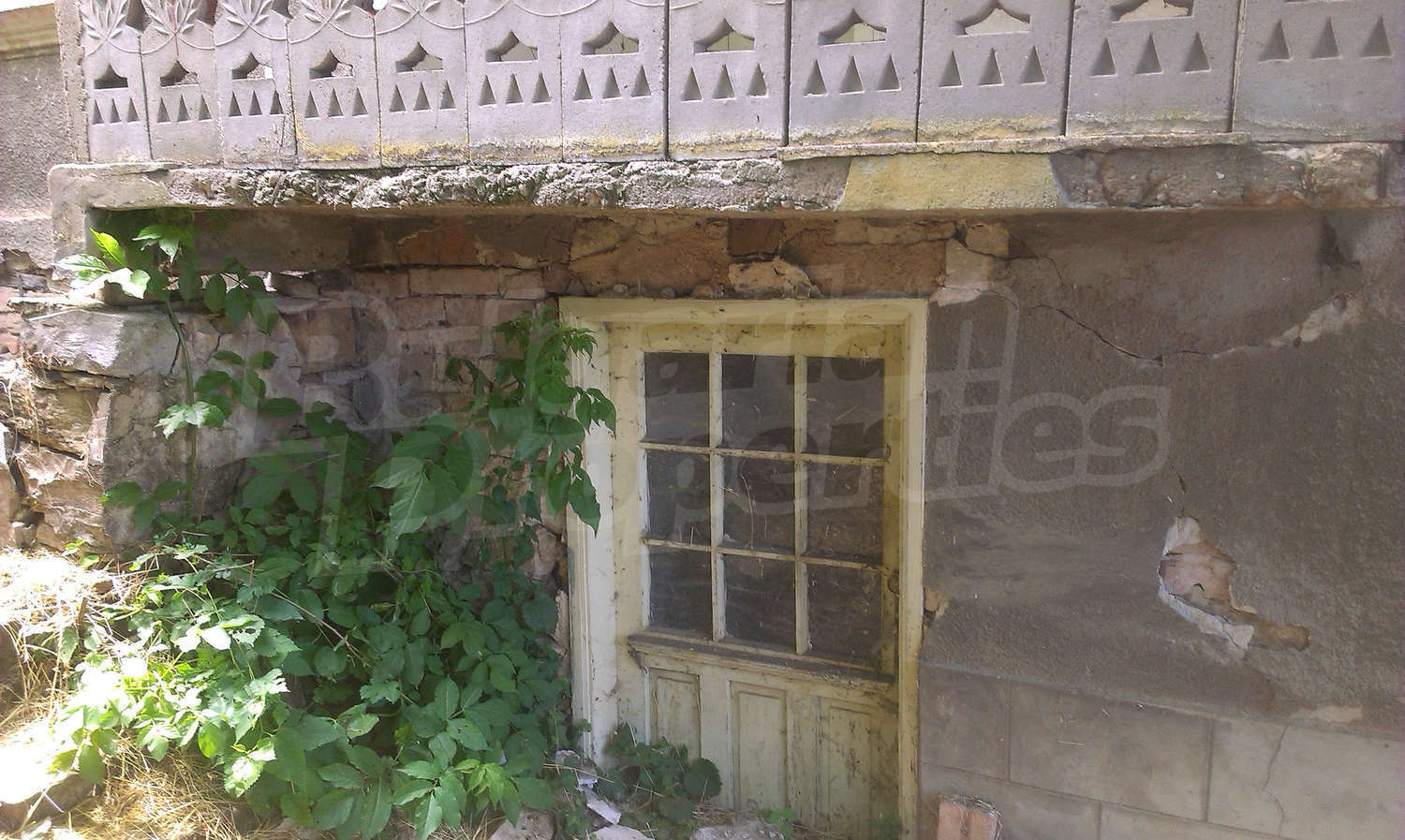 Gallery Picture 27