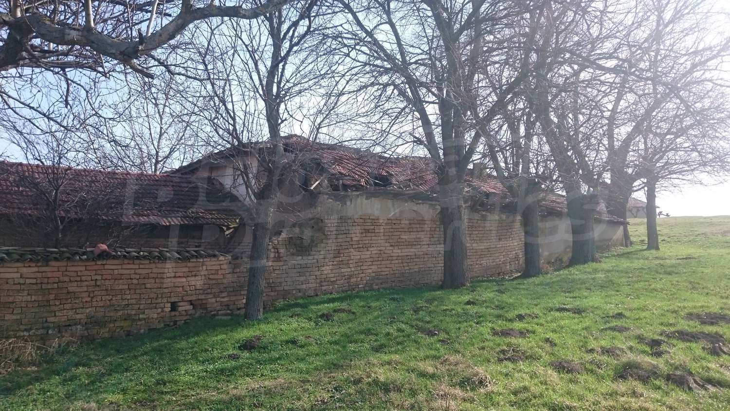 Gallery Picture 54