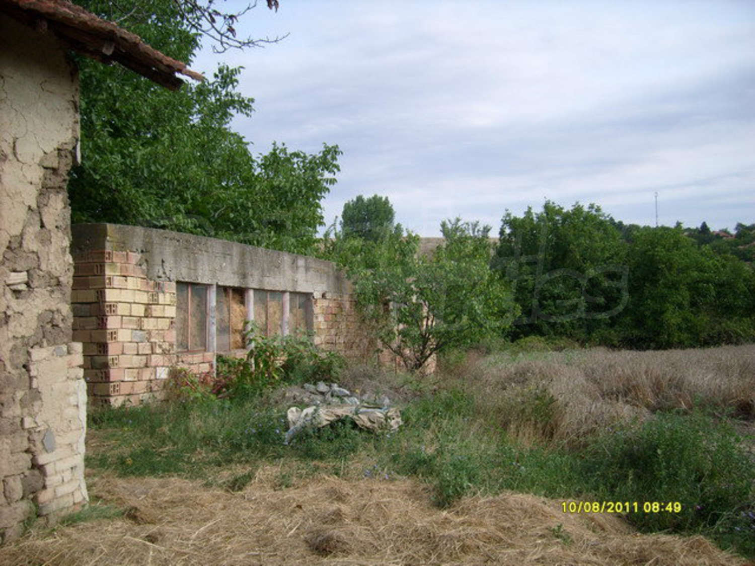 Gallery Picture 6