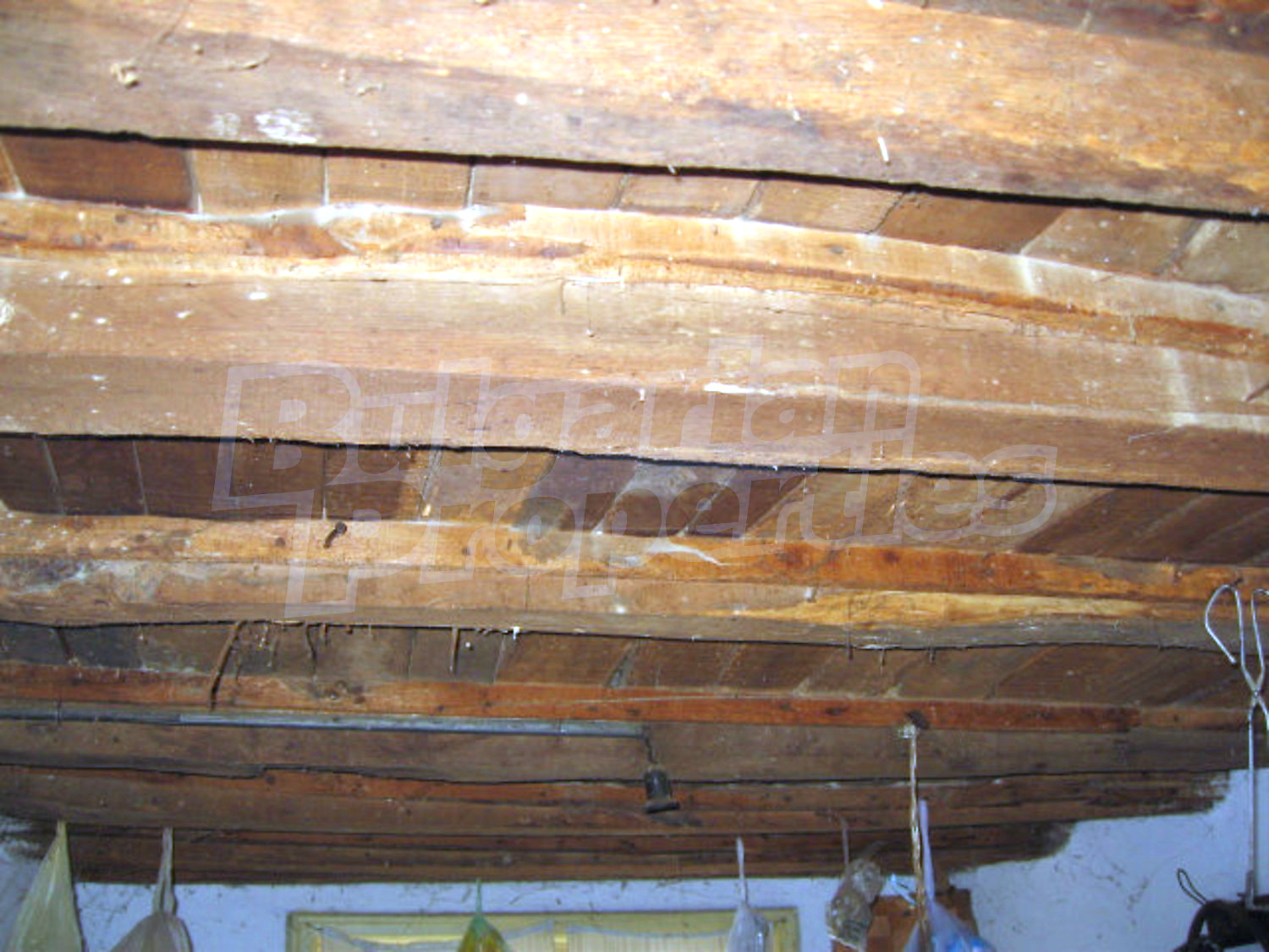Gallery Picture 11
