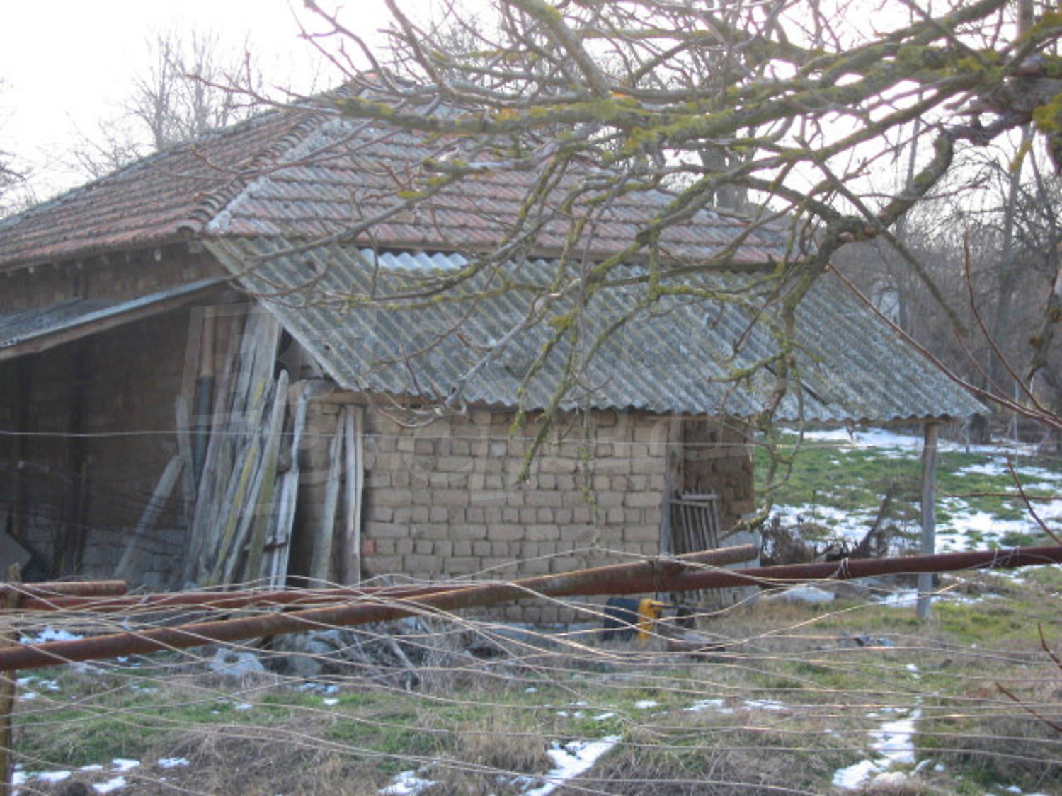 Gallery Picture 36