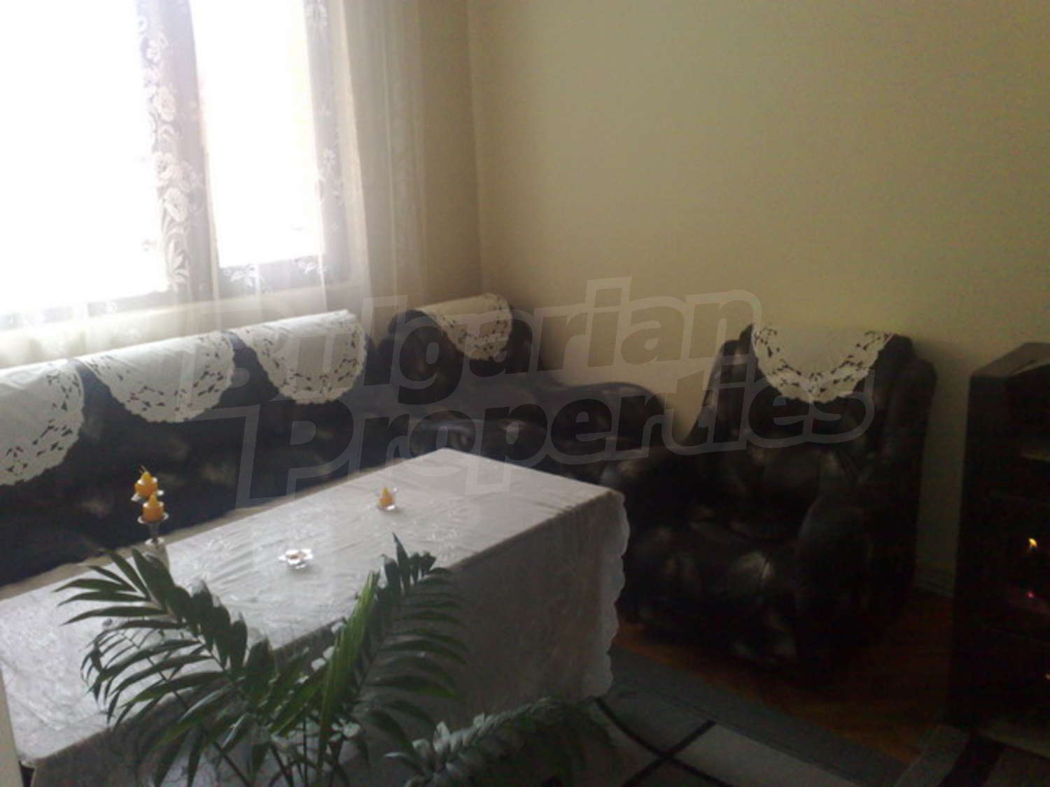 Gallery Picture 5