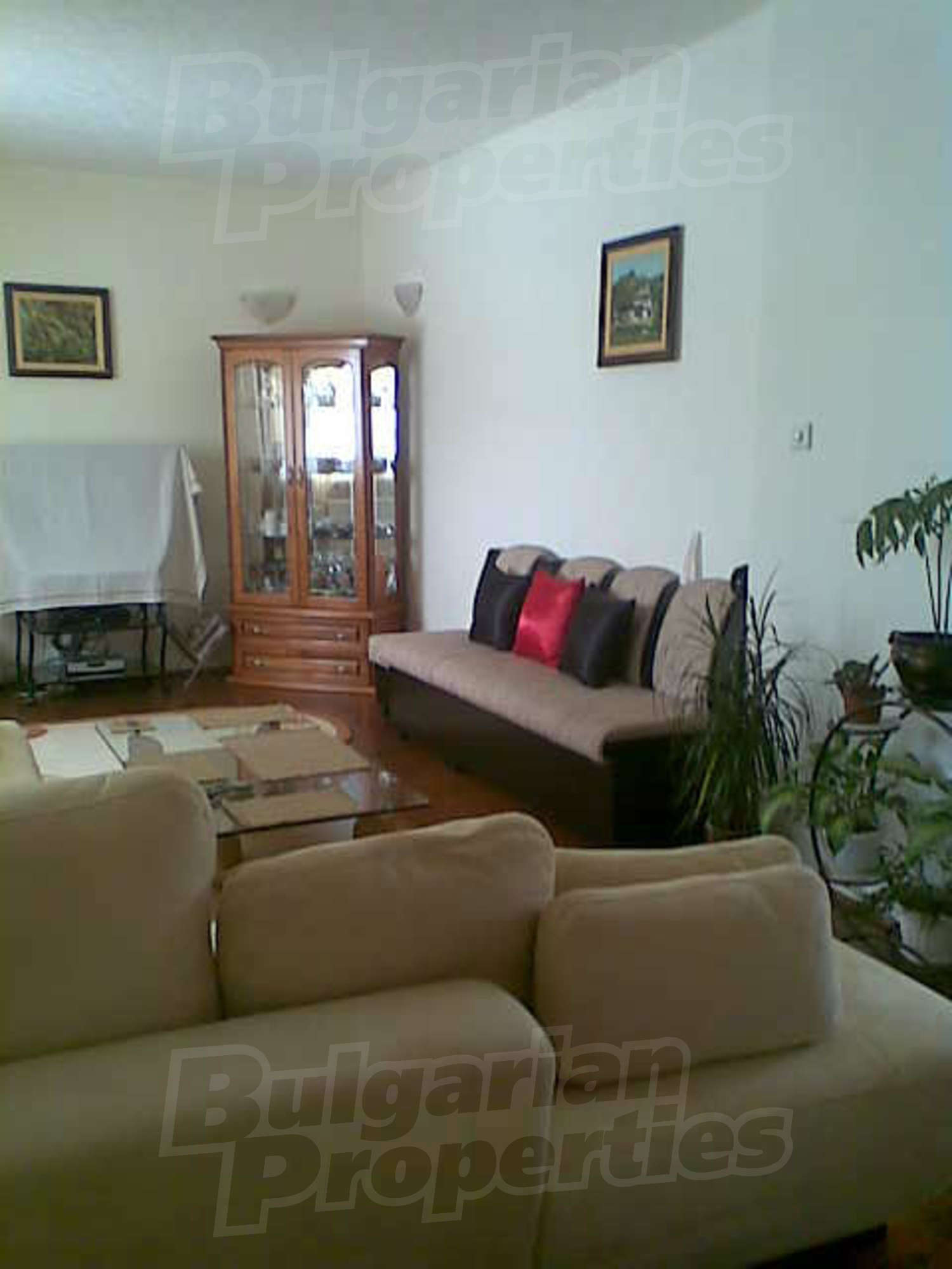 Gallery Picture 14