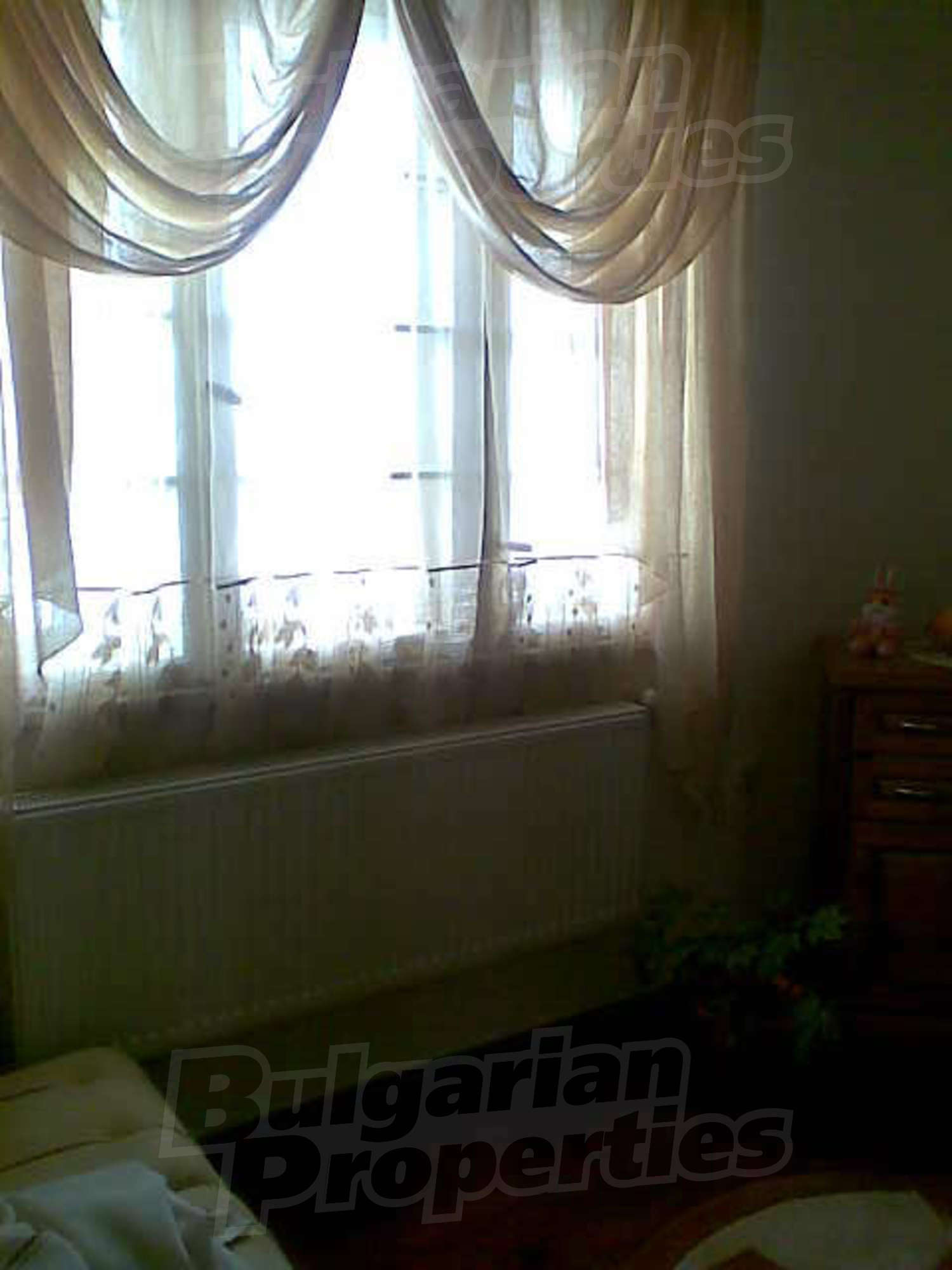 Gallery Picture 16