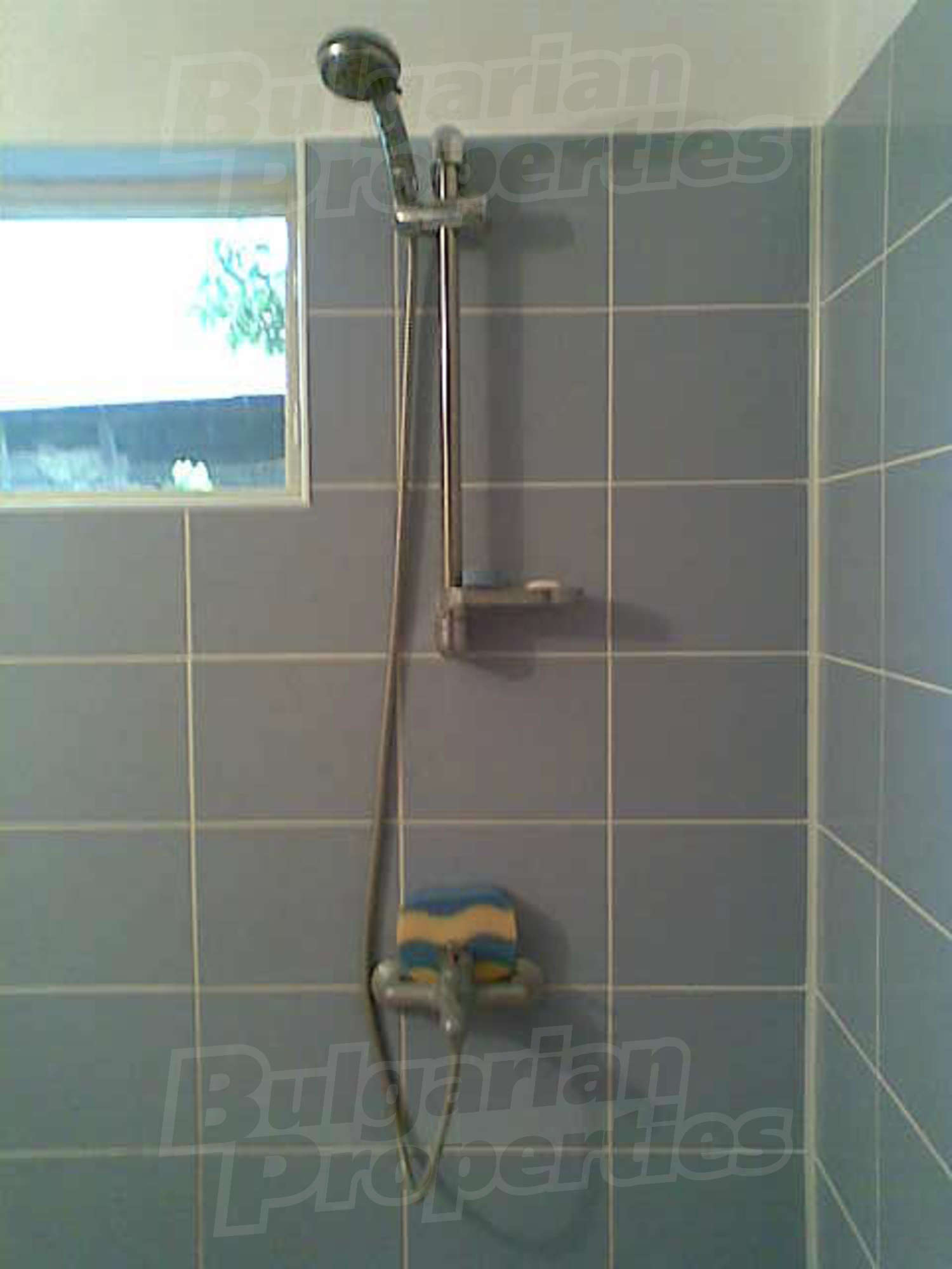 Gallery Picture 19
