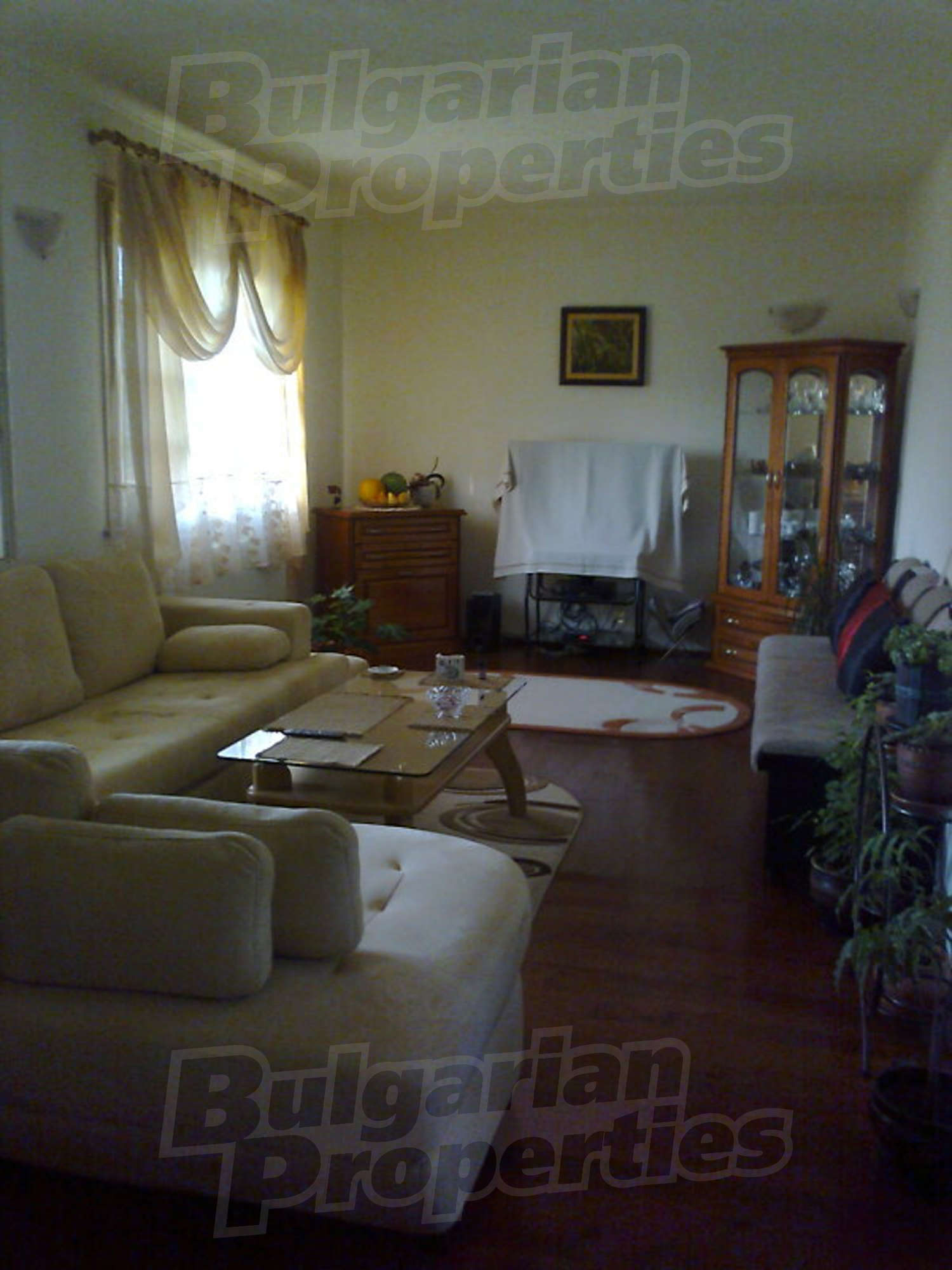 Gallery Picture 29