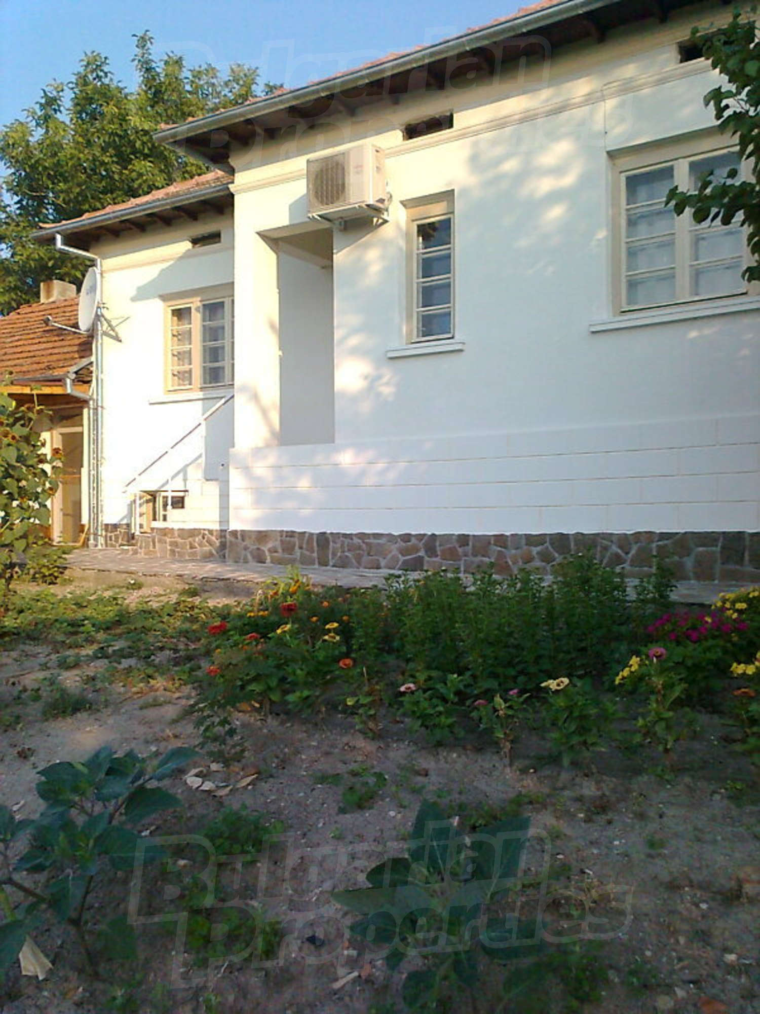 Gallery Picture 41