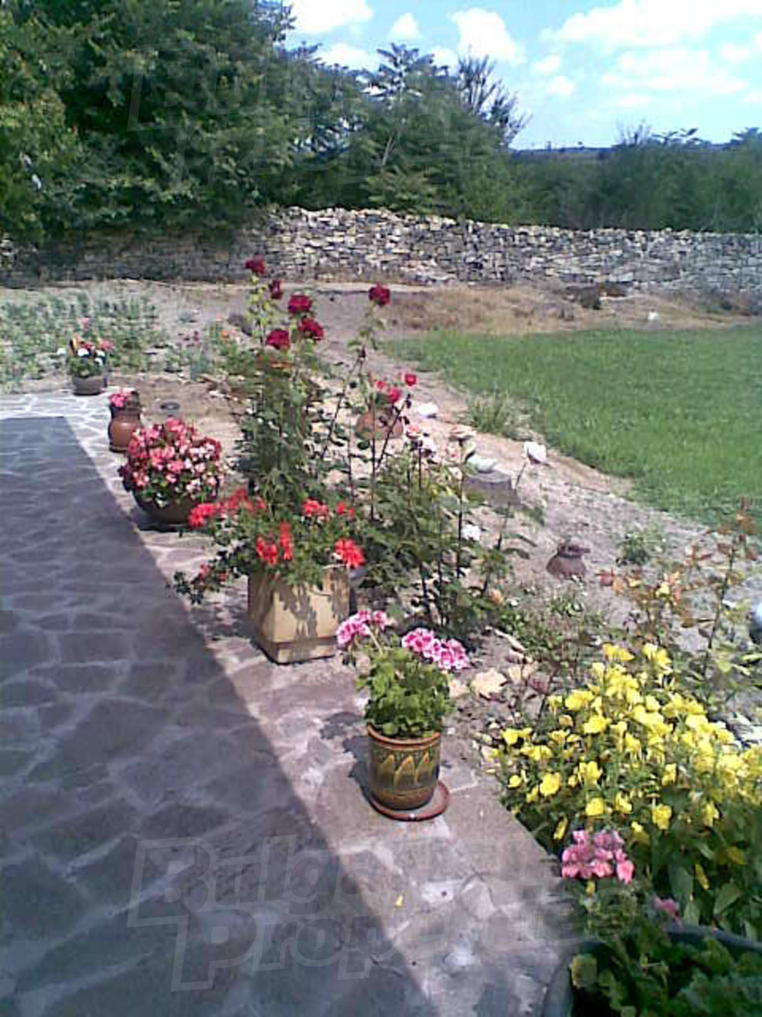 Gallery Picture 6