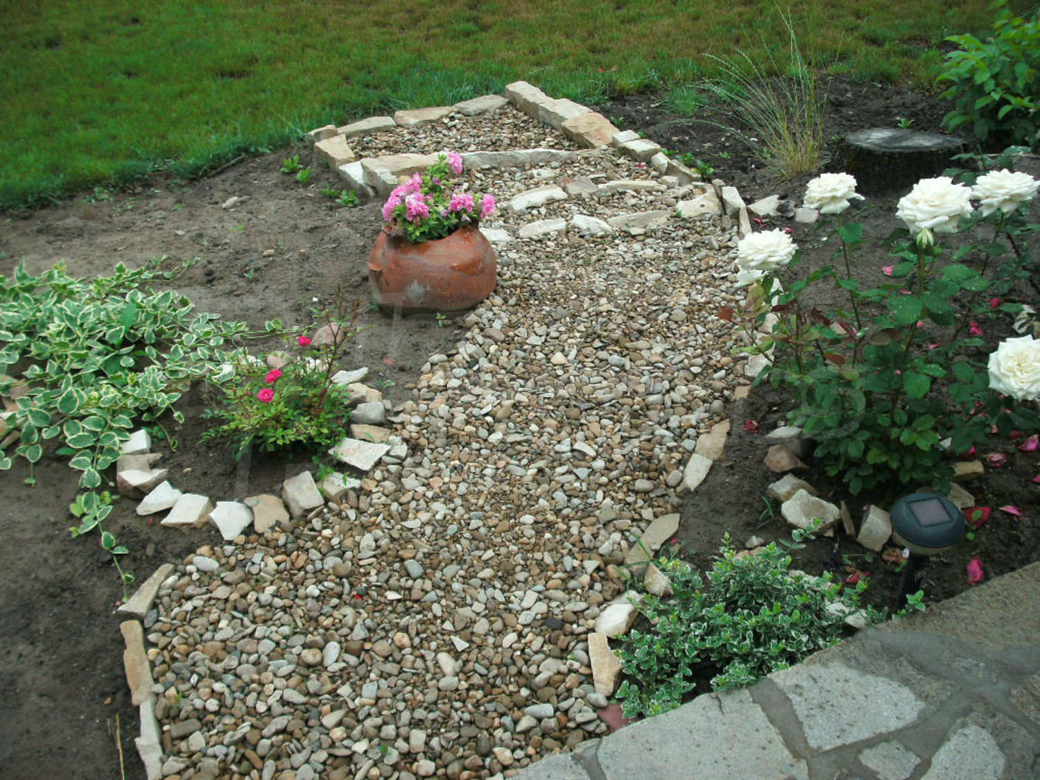 Gallery Picture 67