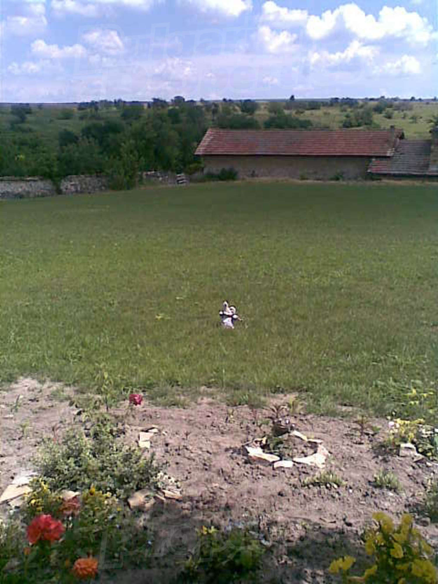 Gallery Picture 7