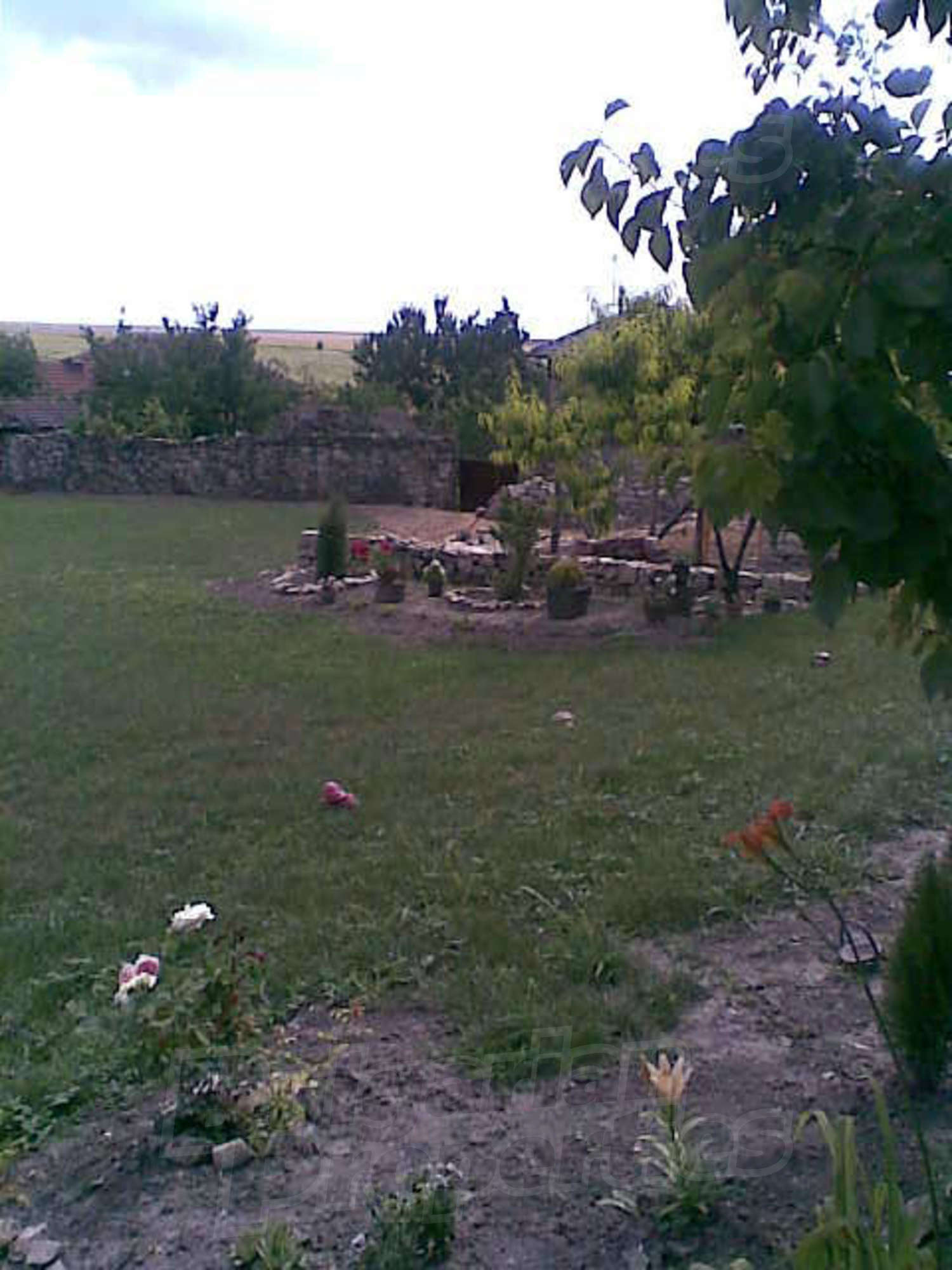 Gallery Picture 8
