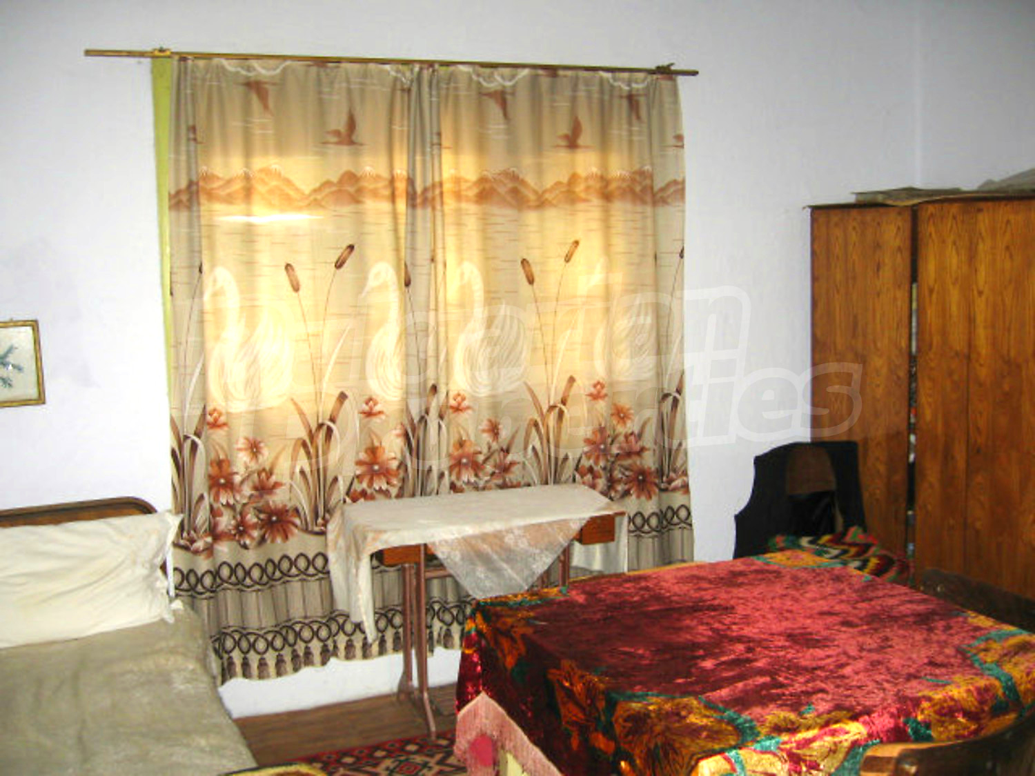 Gallery Picture 16