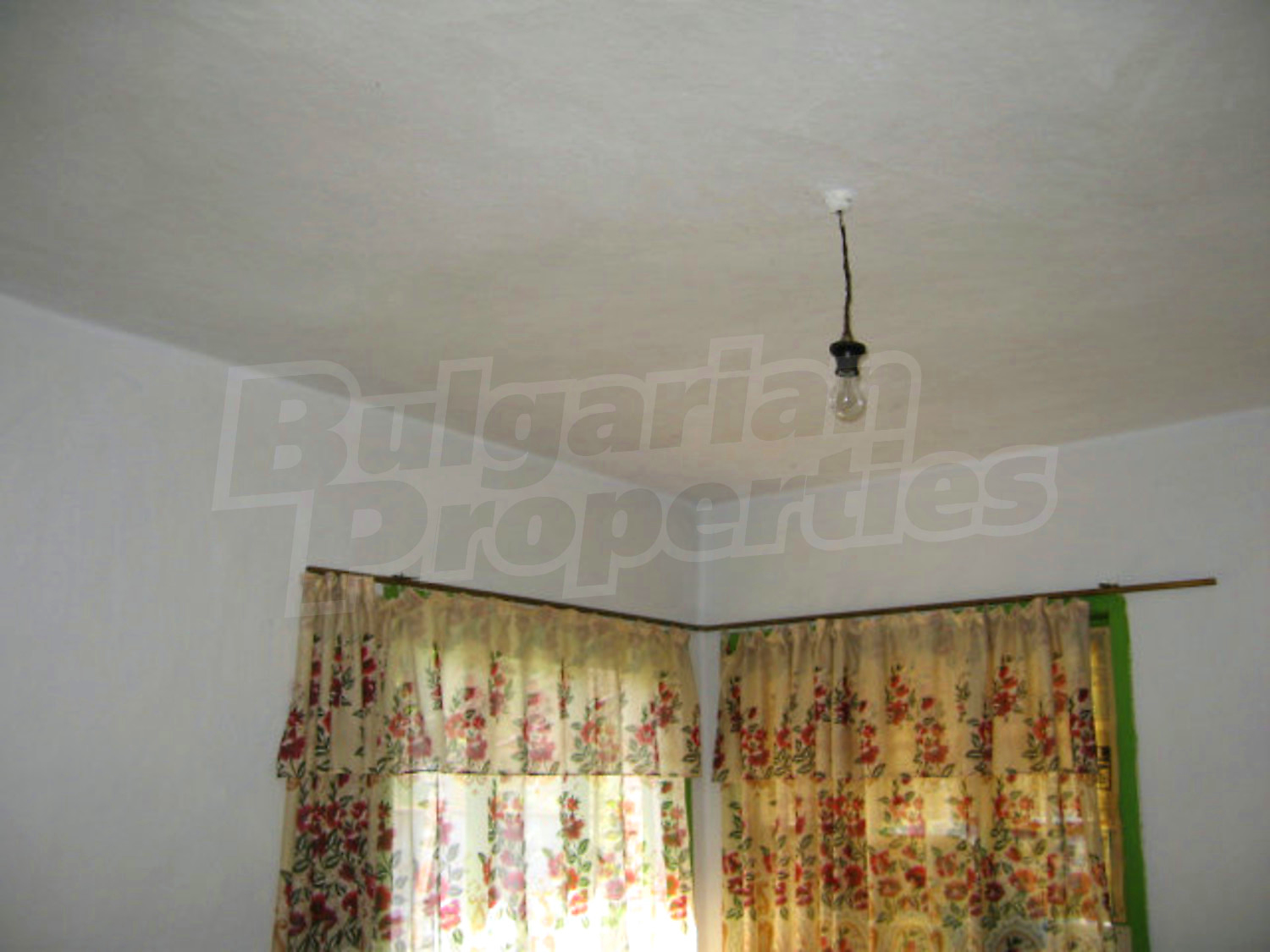 Gallery Picture 19