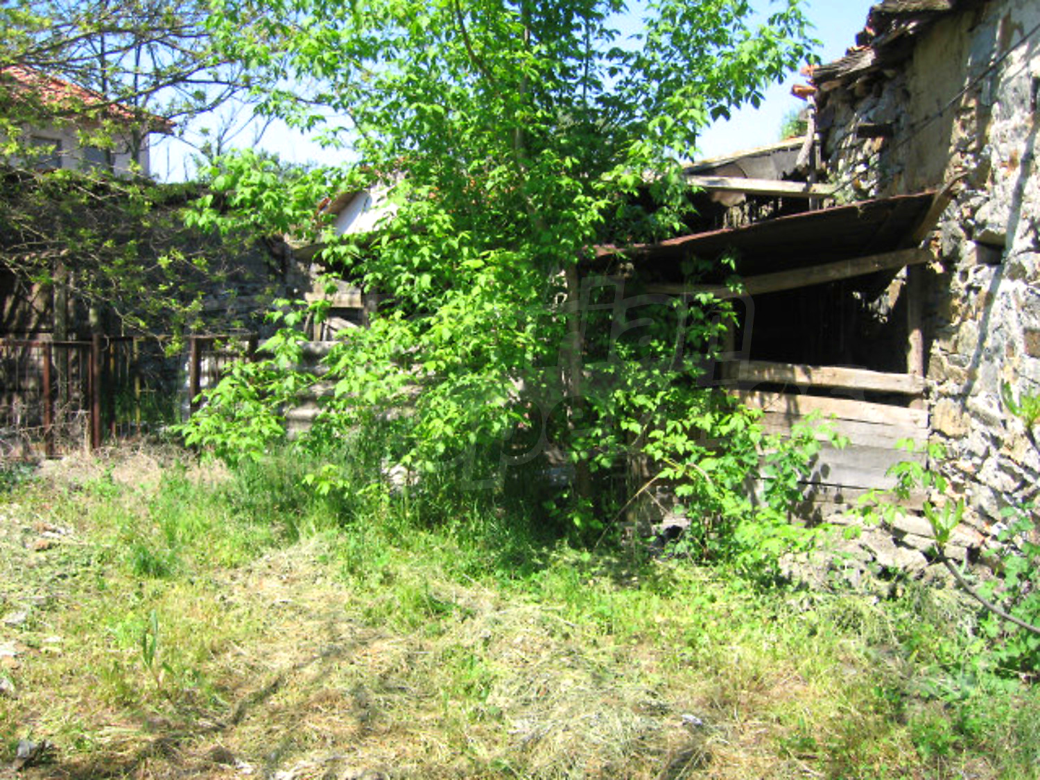 Gallery Picture 23