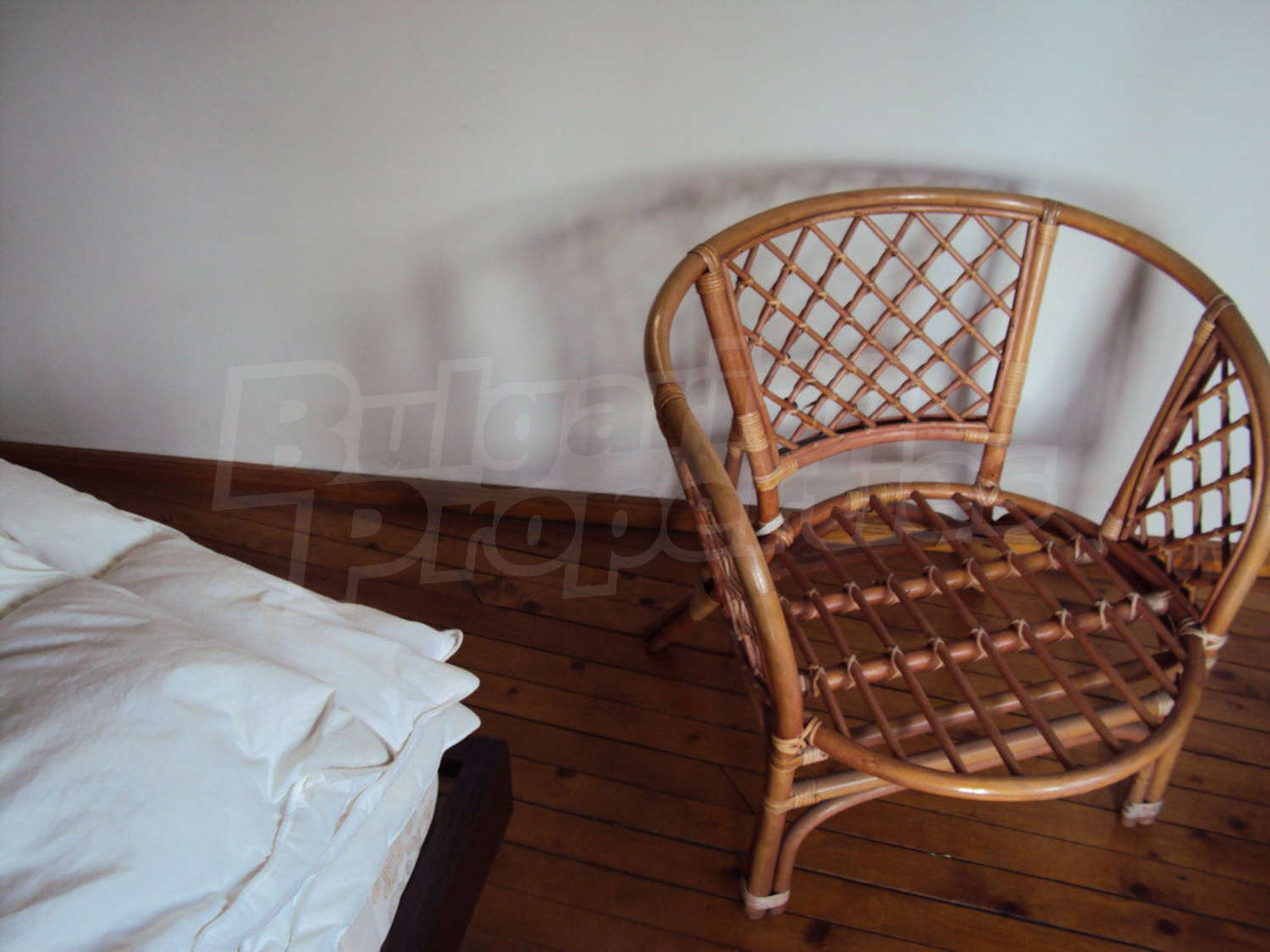 Gallery Picture 42