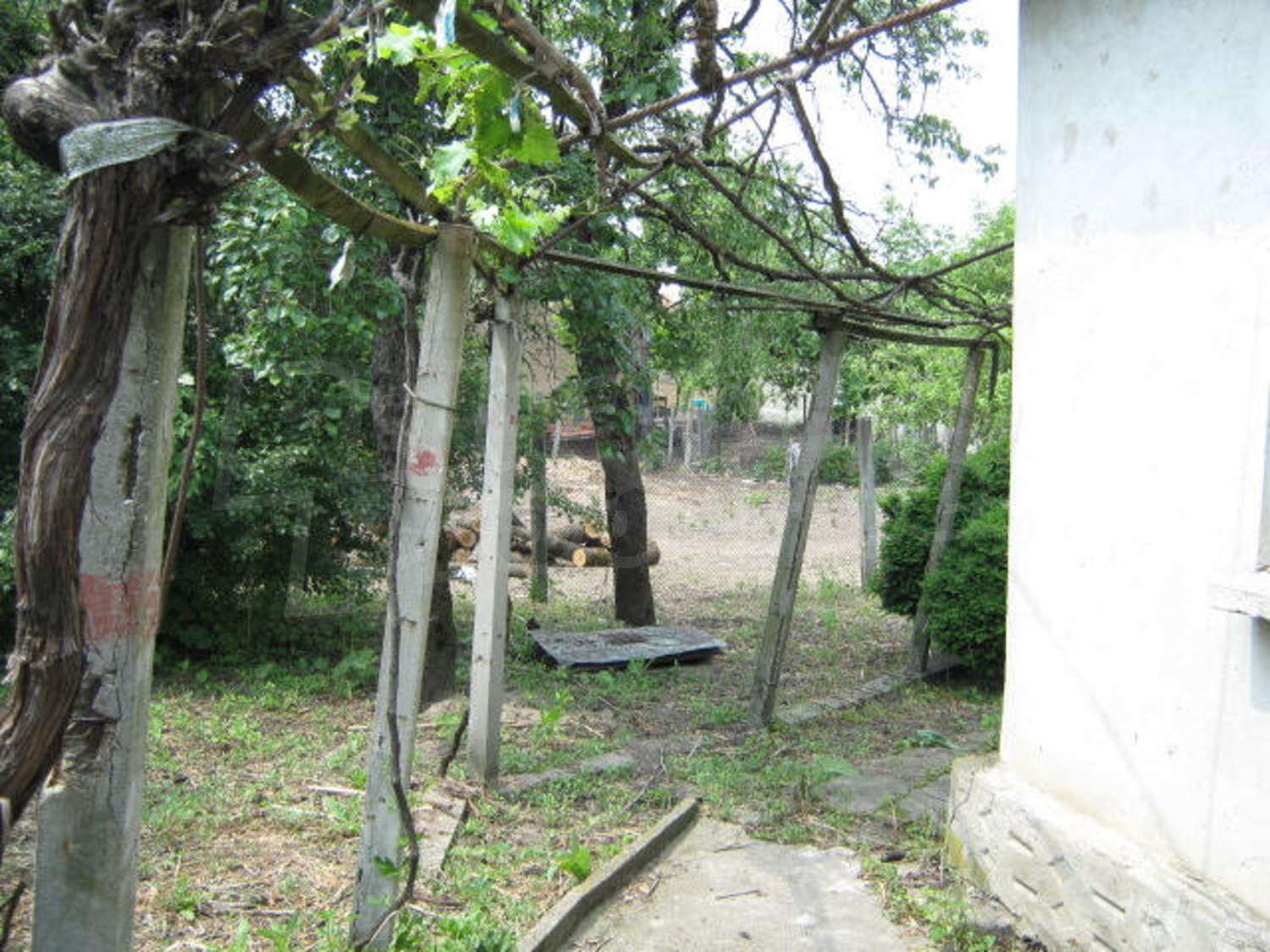 Gallery Picture 10
