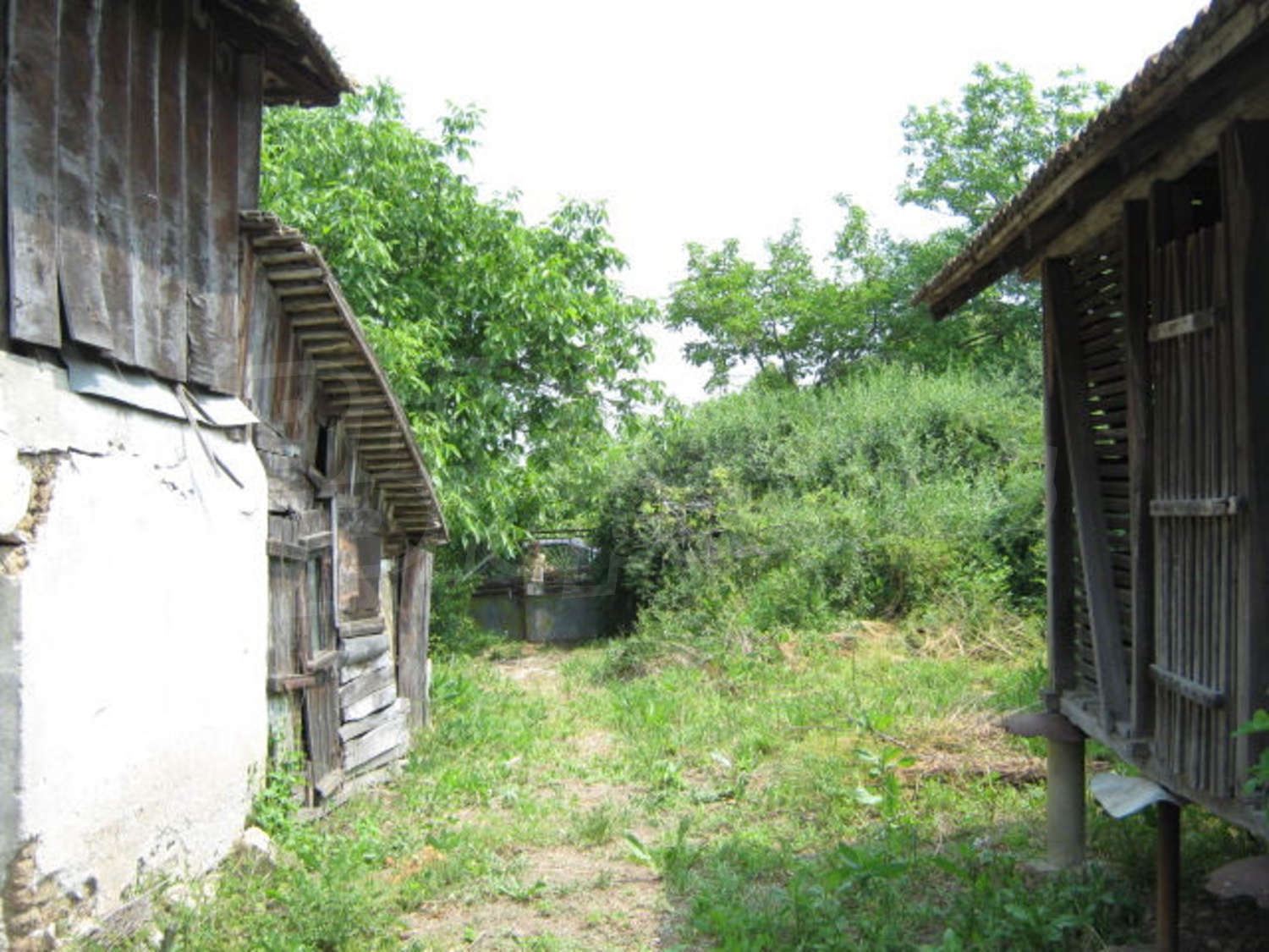 Gallery Picture 12