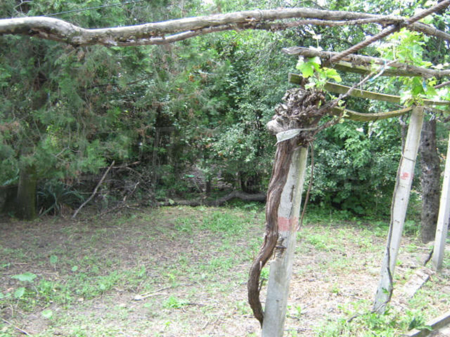 Gallery Picture 9