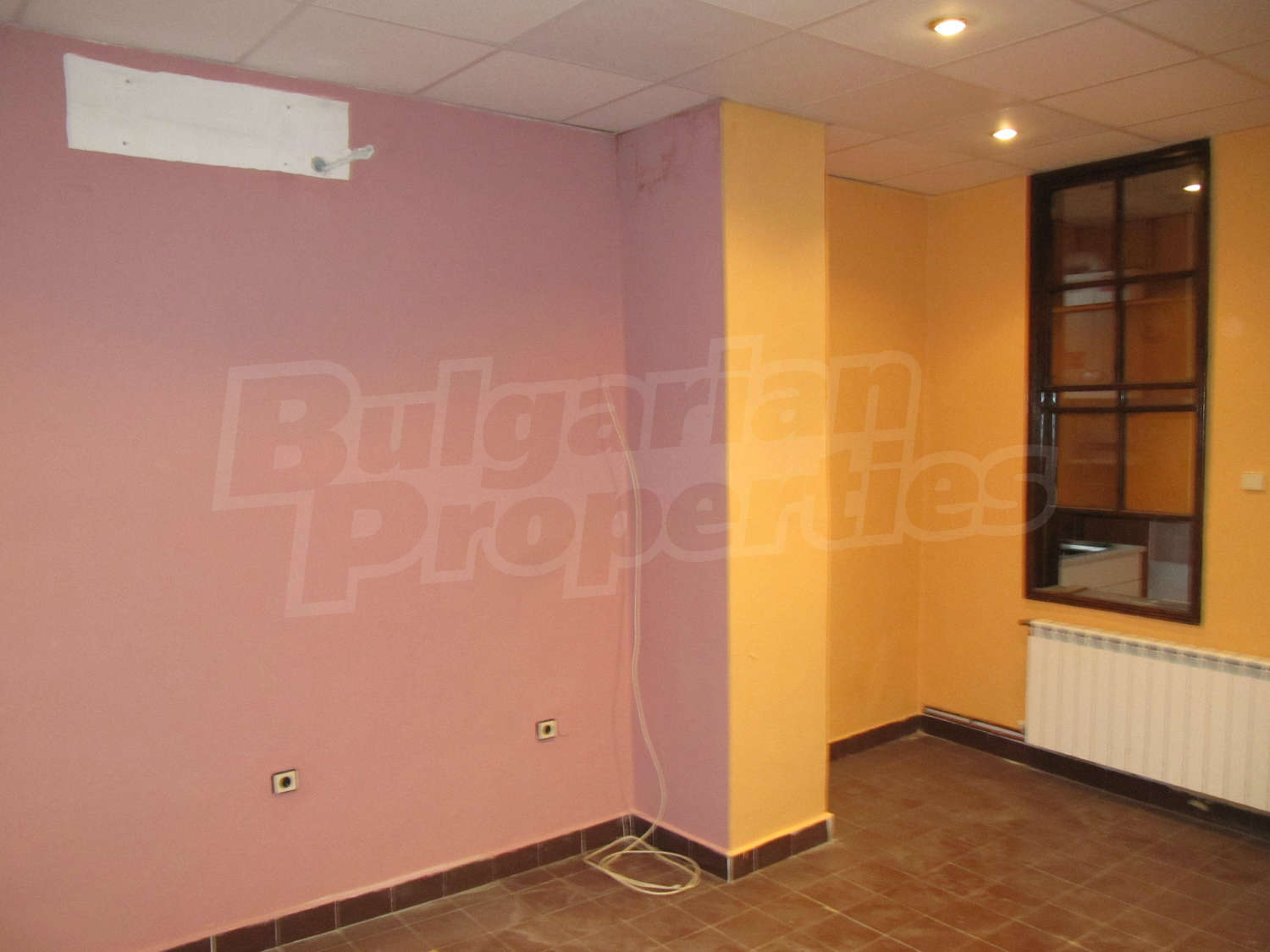 Gallery Picture 5