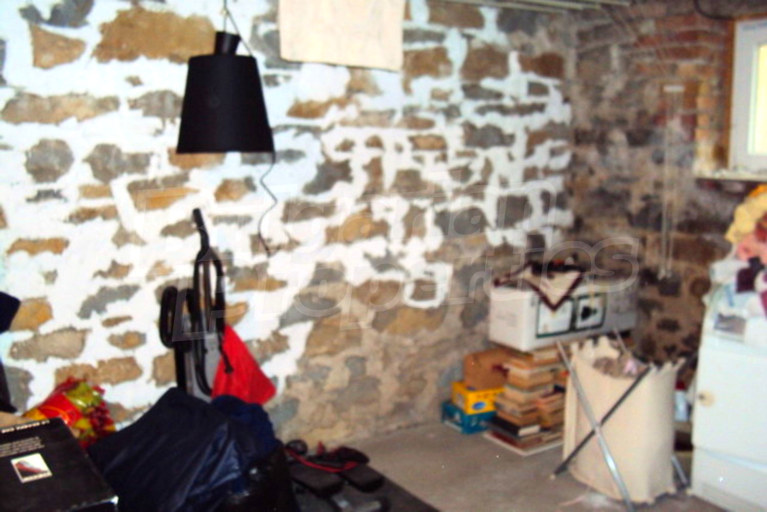 Gallery Picture 23
