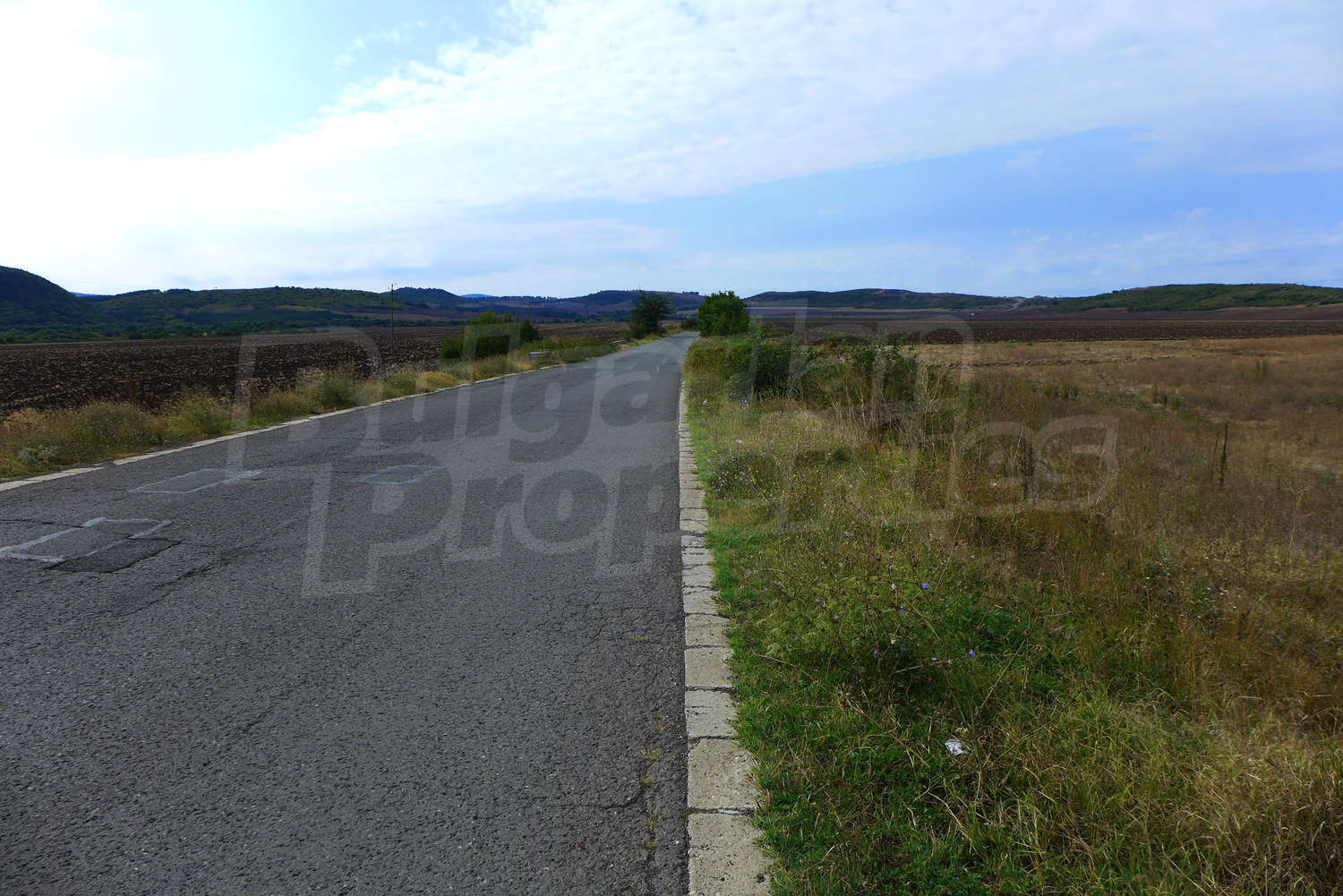 Gallery Picture 9