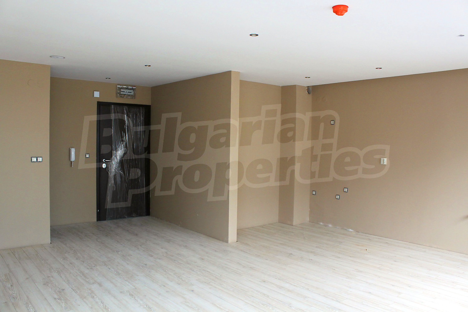 Gallery Picture 10