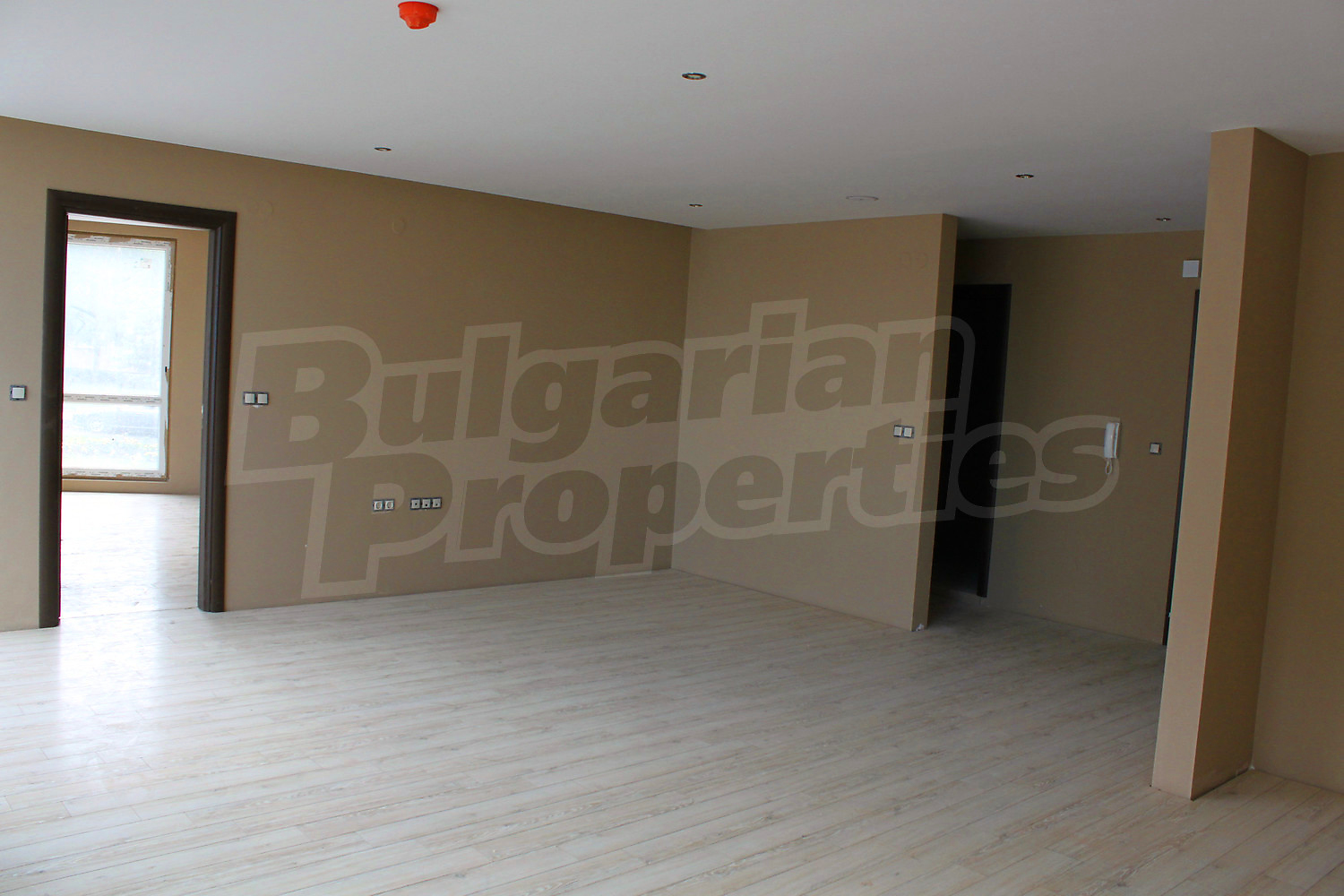 Gallery Picture 11