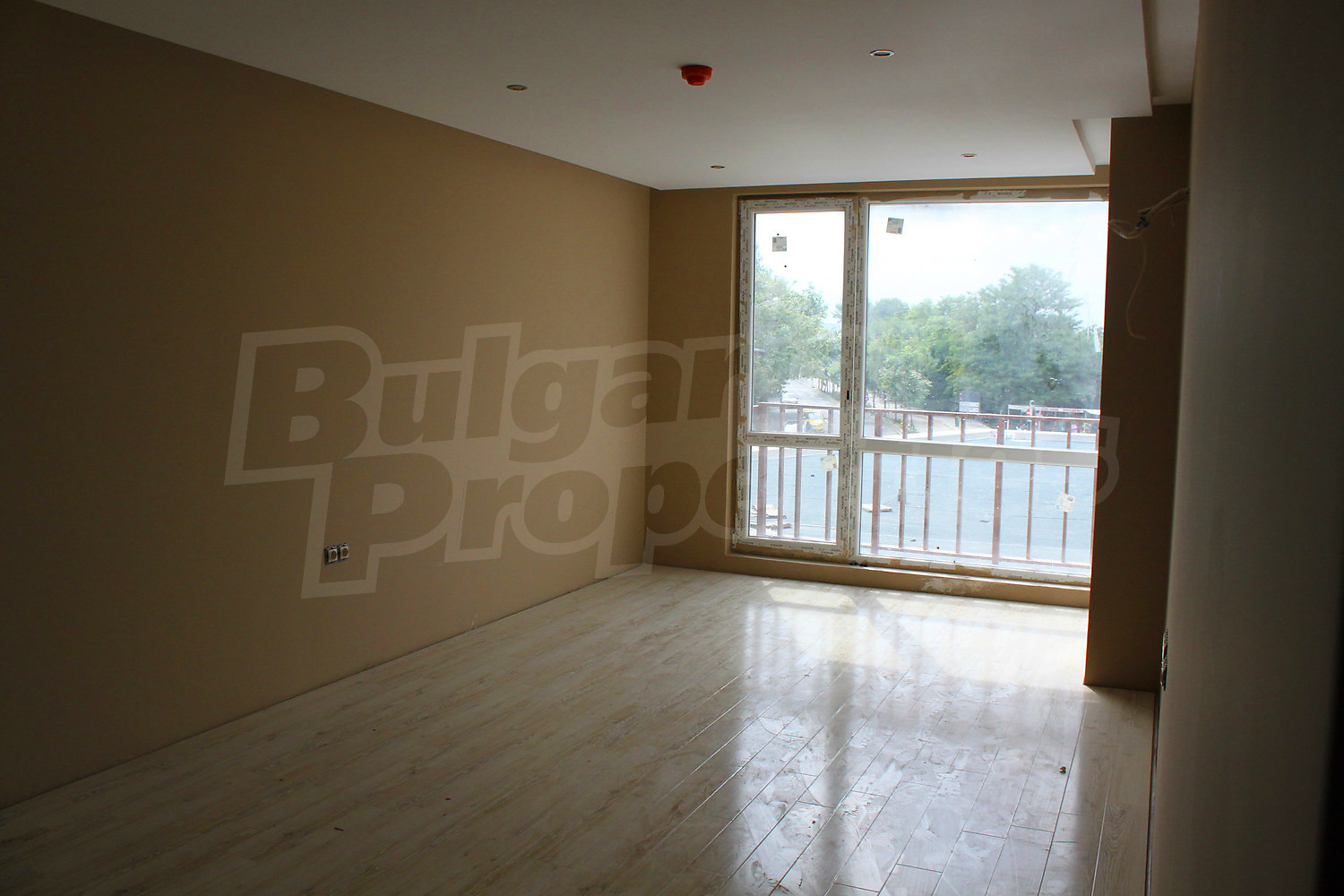Gallery Picture 8