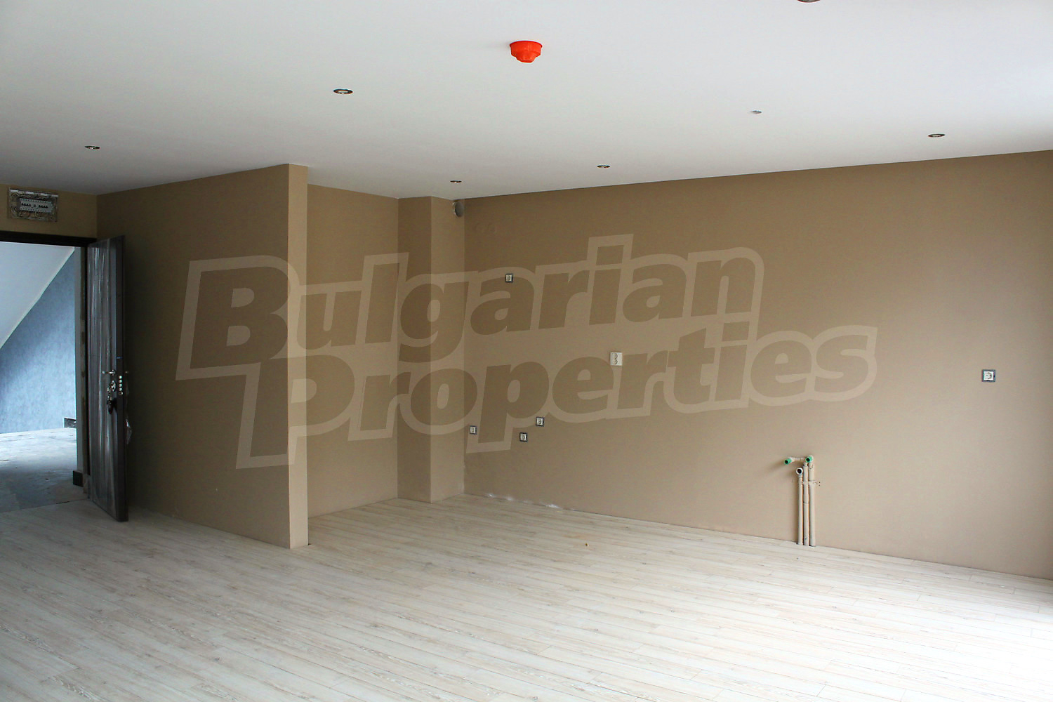 Gallery Picture 9
