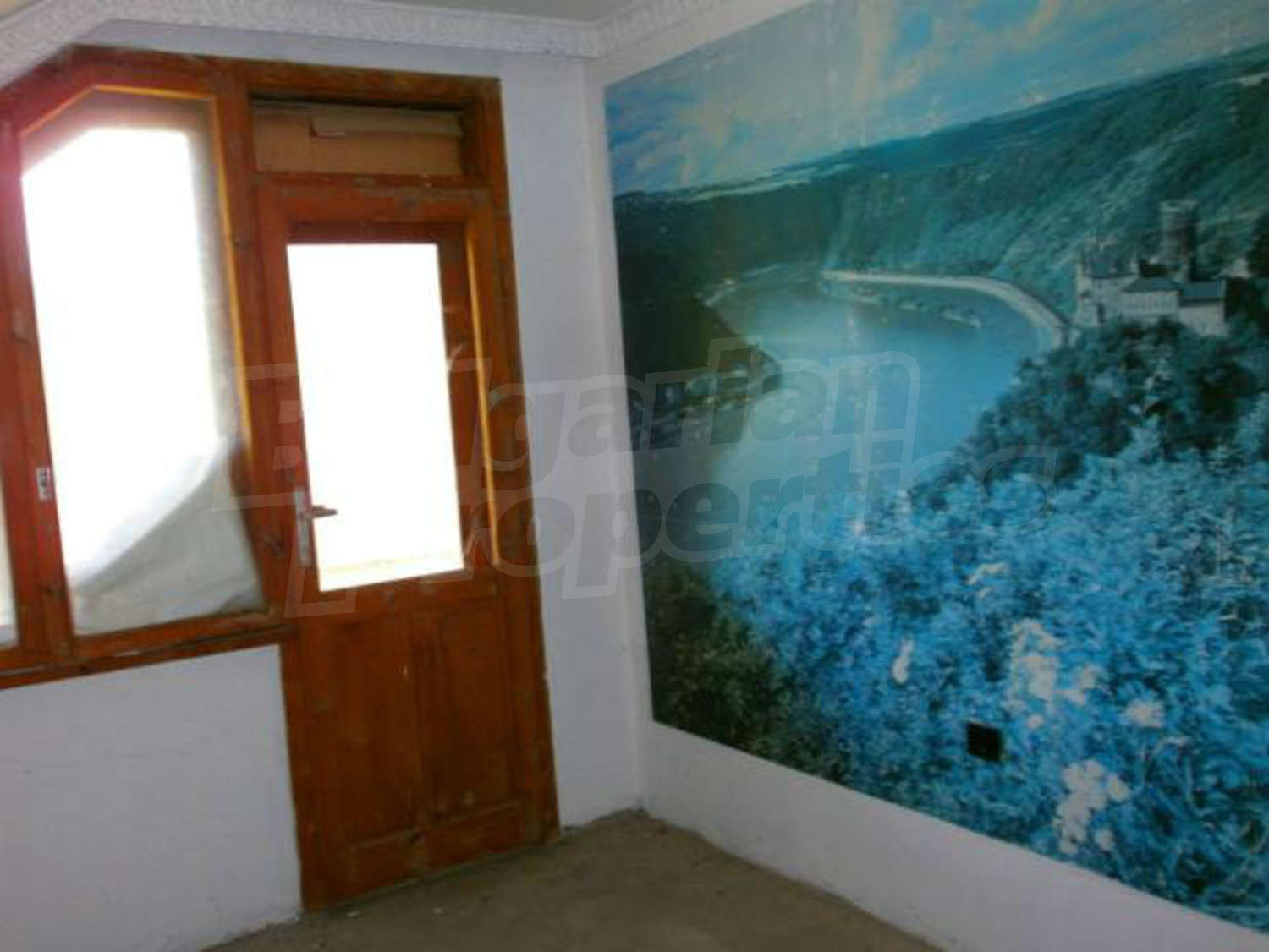 Gallery Picture 10