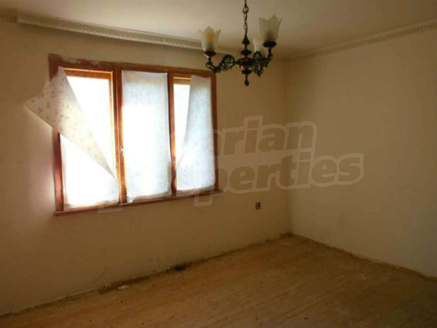 Gallery Picture 12