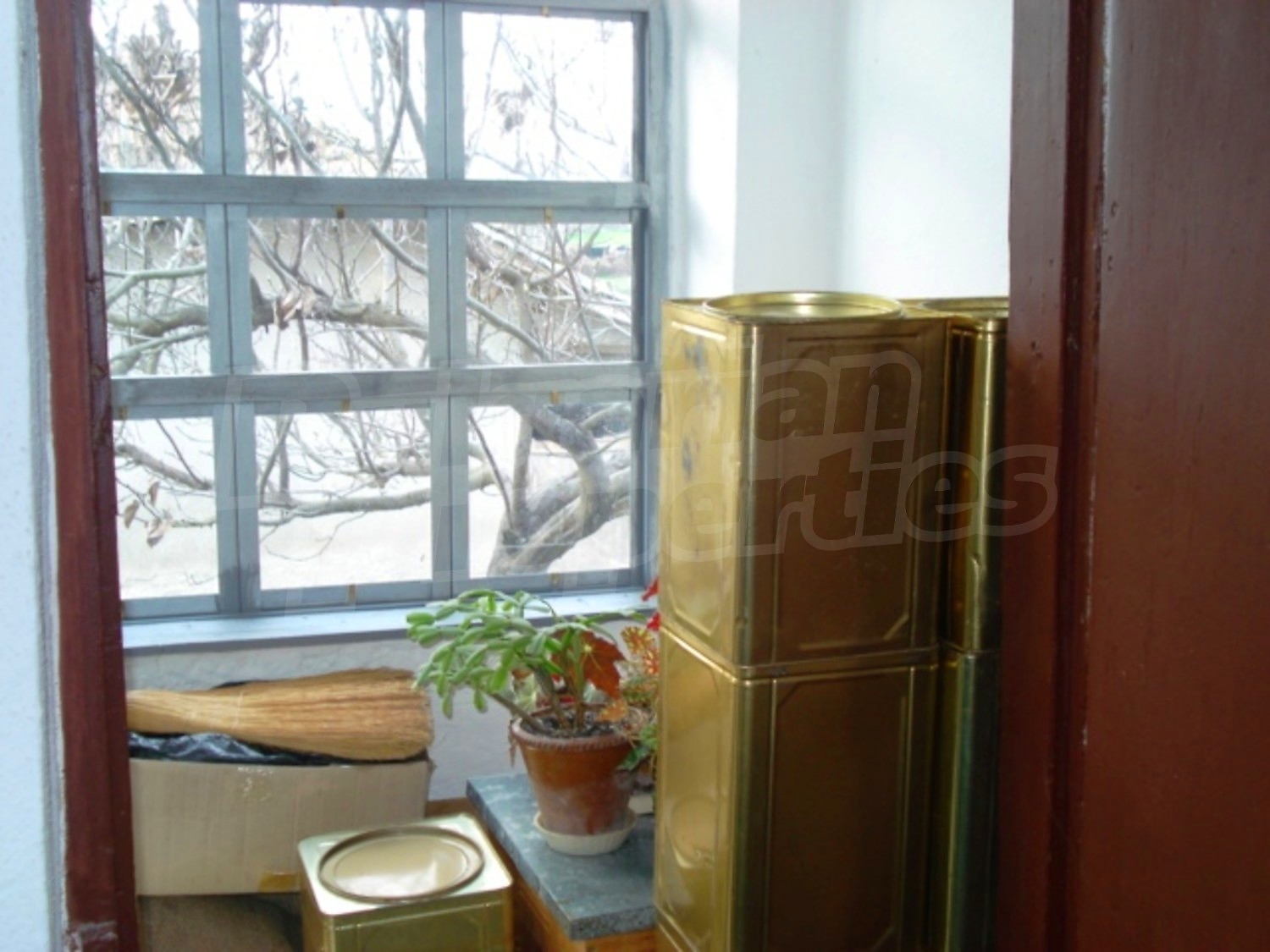 Gallery Picture 10
