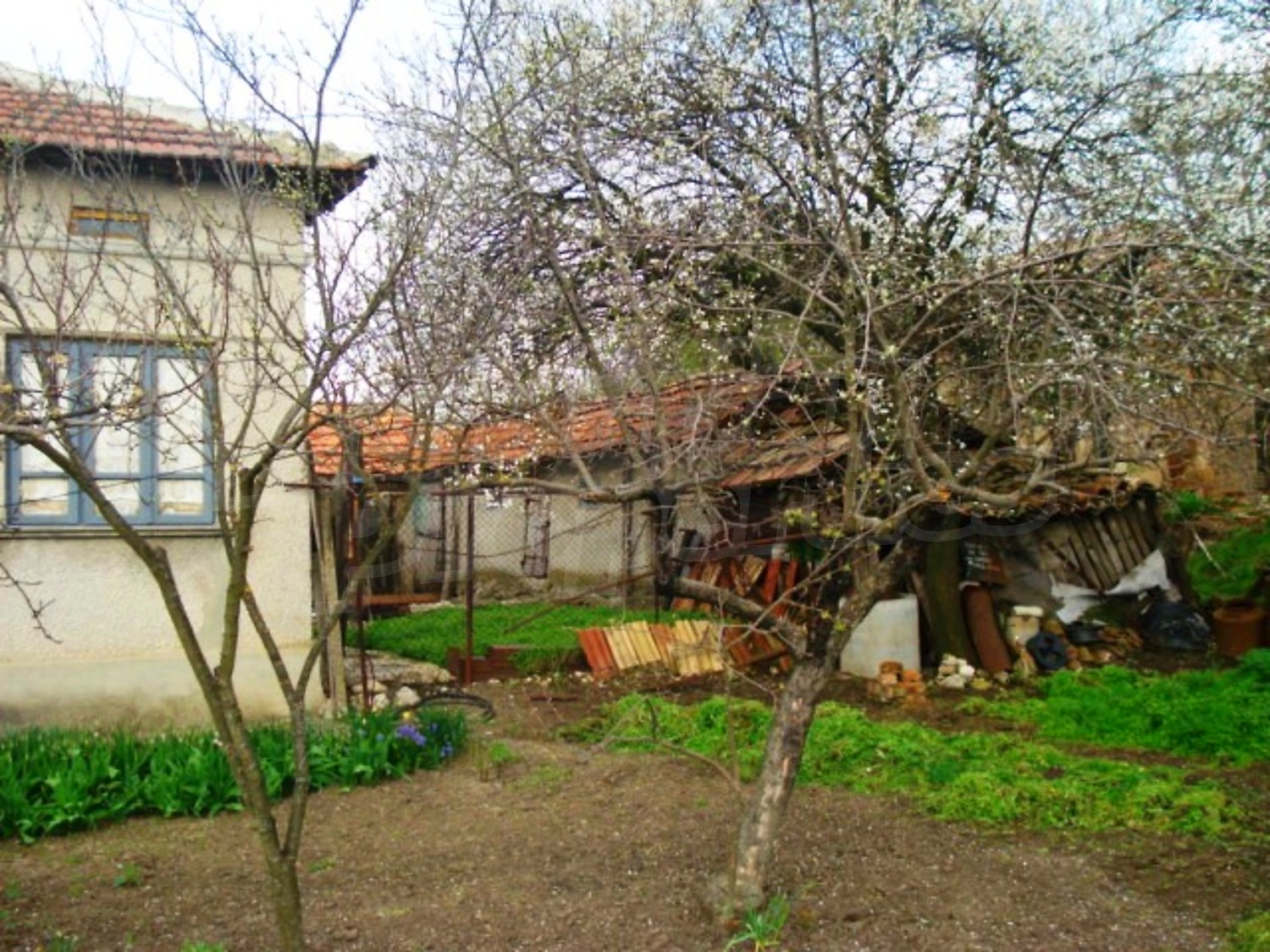 Gallery Picture 24