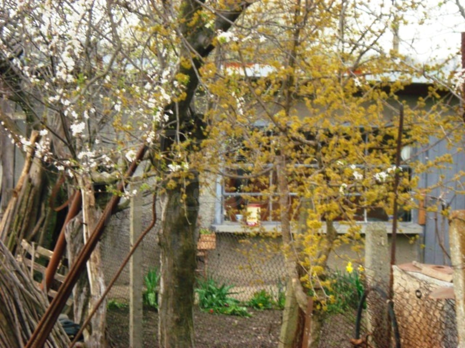 Gallery Picture 26