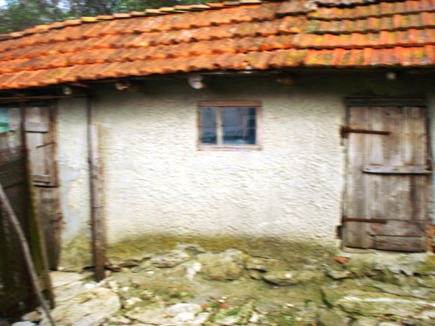 Gallery Picture 5