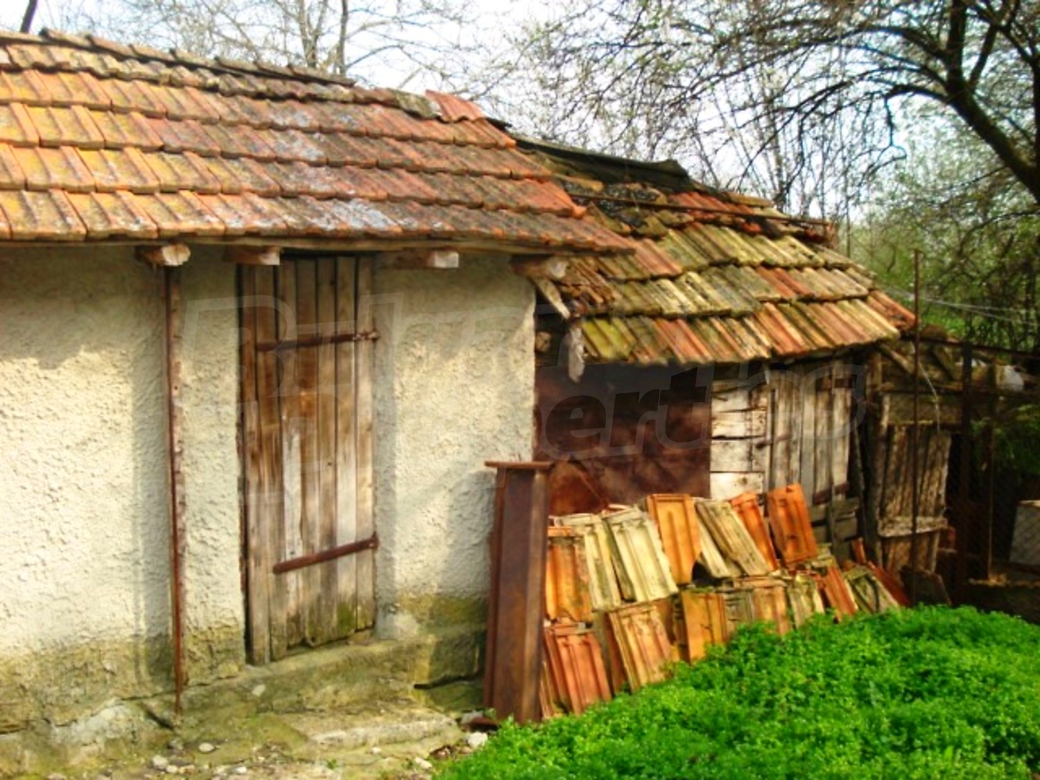 Gallery Picture 6