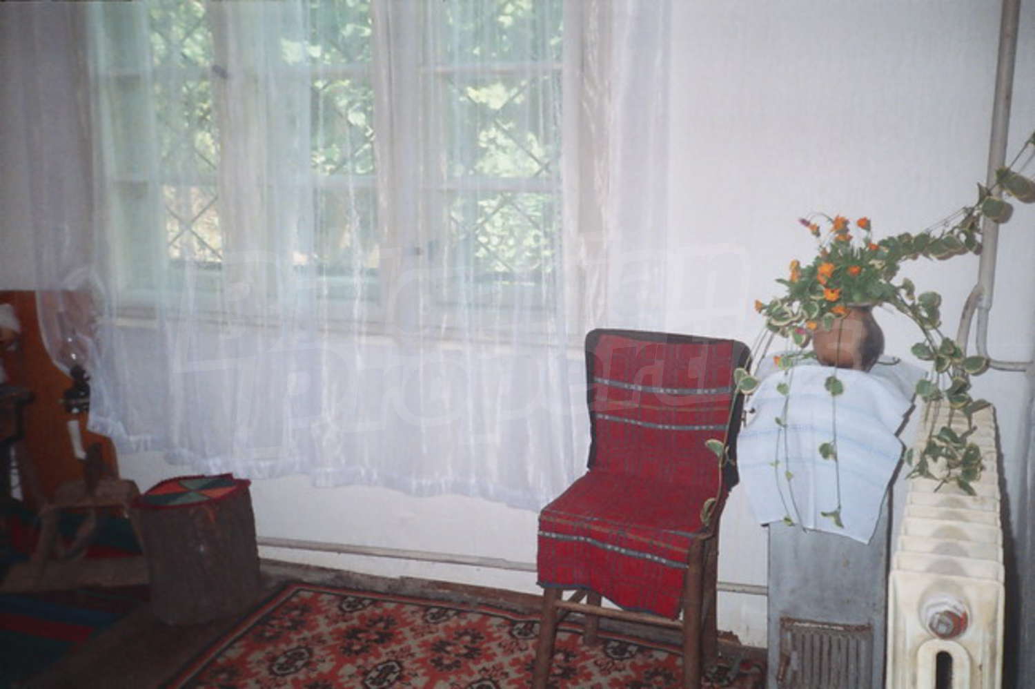 Gallery Picture 8