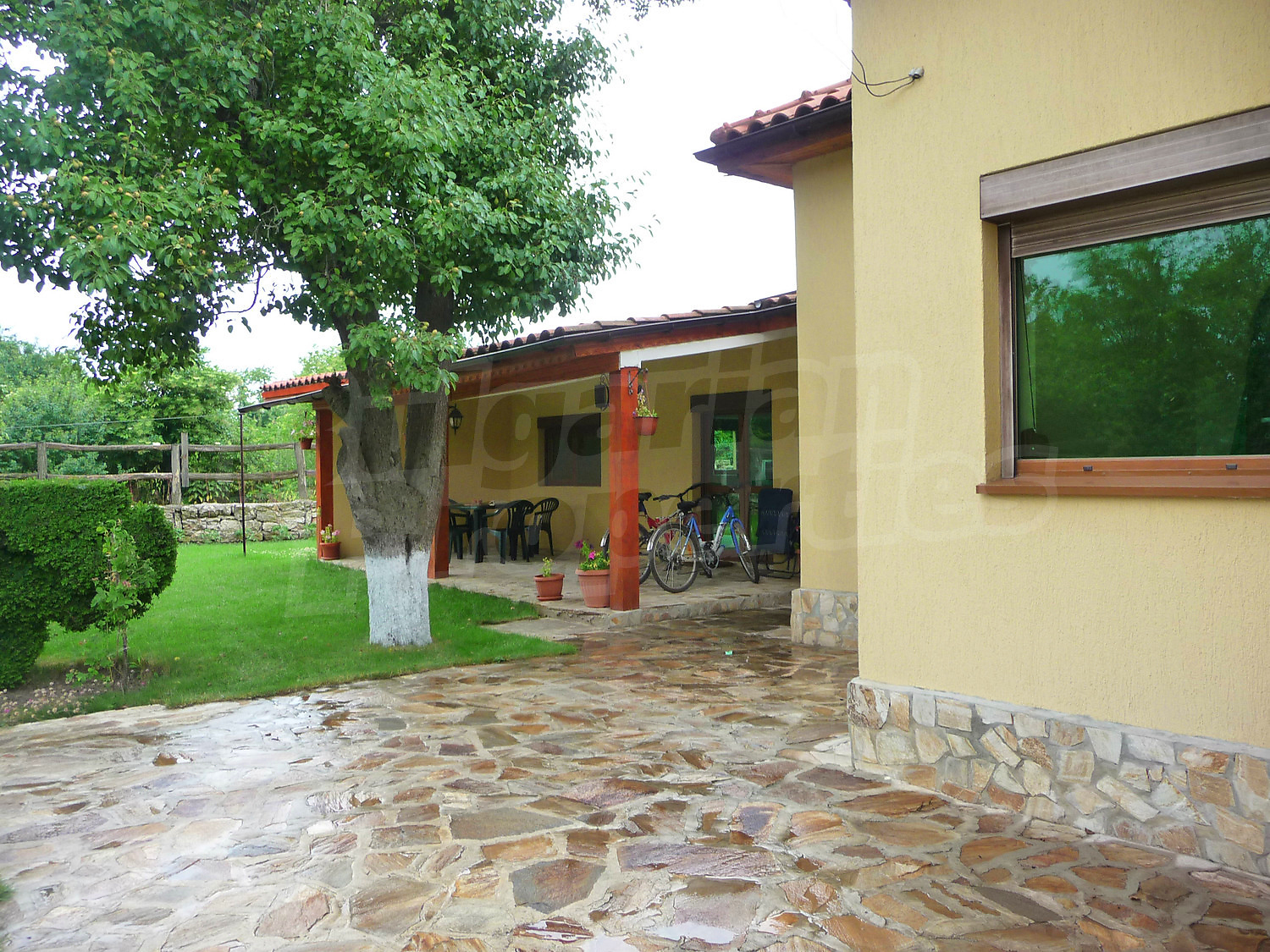 Gallery Picture 10